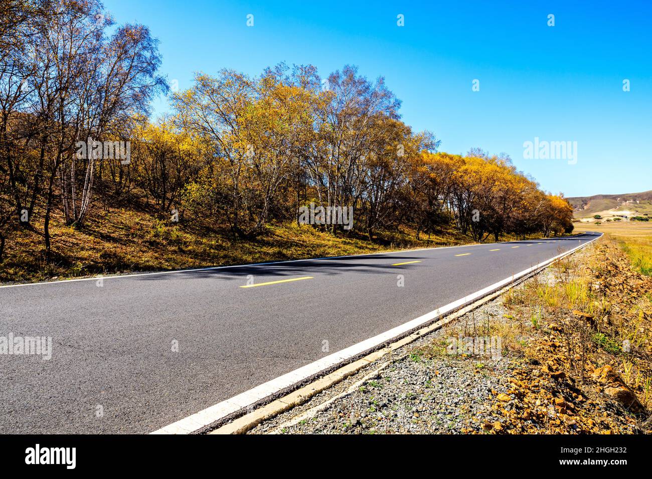 Empty asphalt road and autumn forest landscape.Road and trees ...