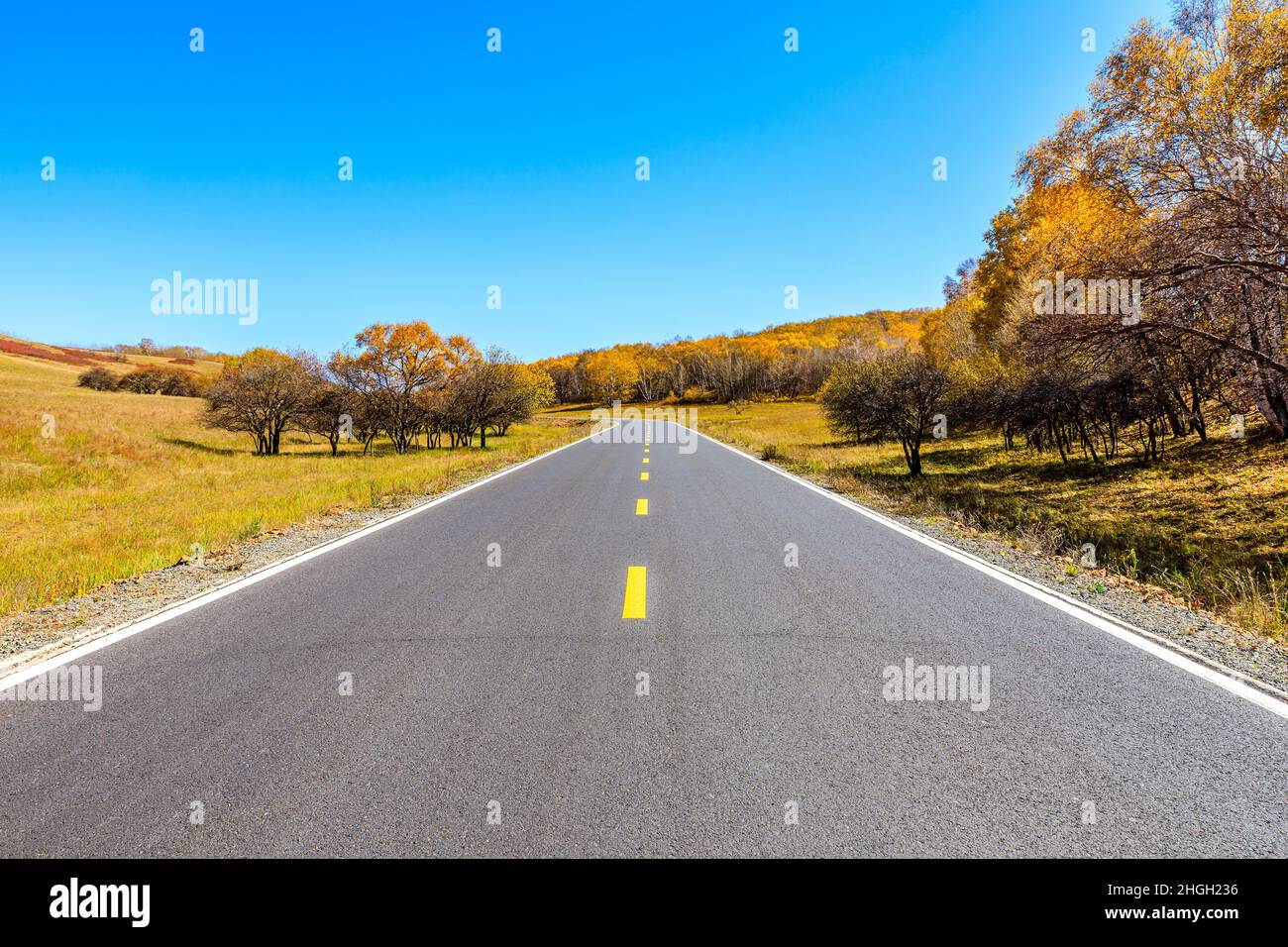 Empty asphalt road and autumn forest landscape.Road and trees ...
