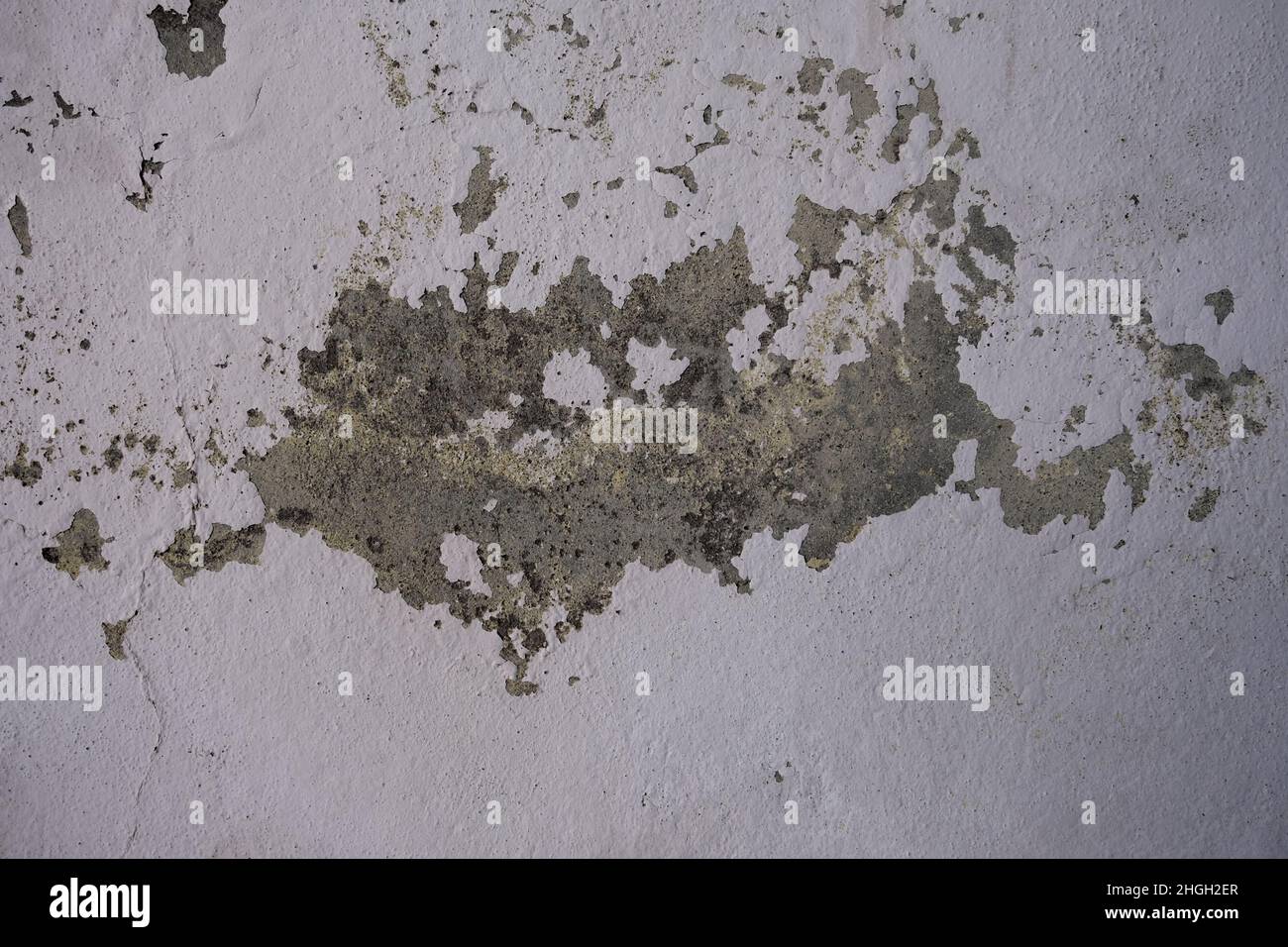 Wall with flaking paint Stock Photo Alamy
