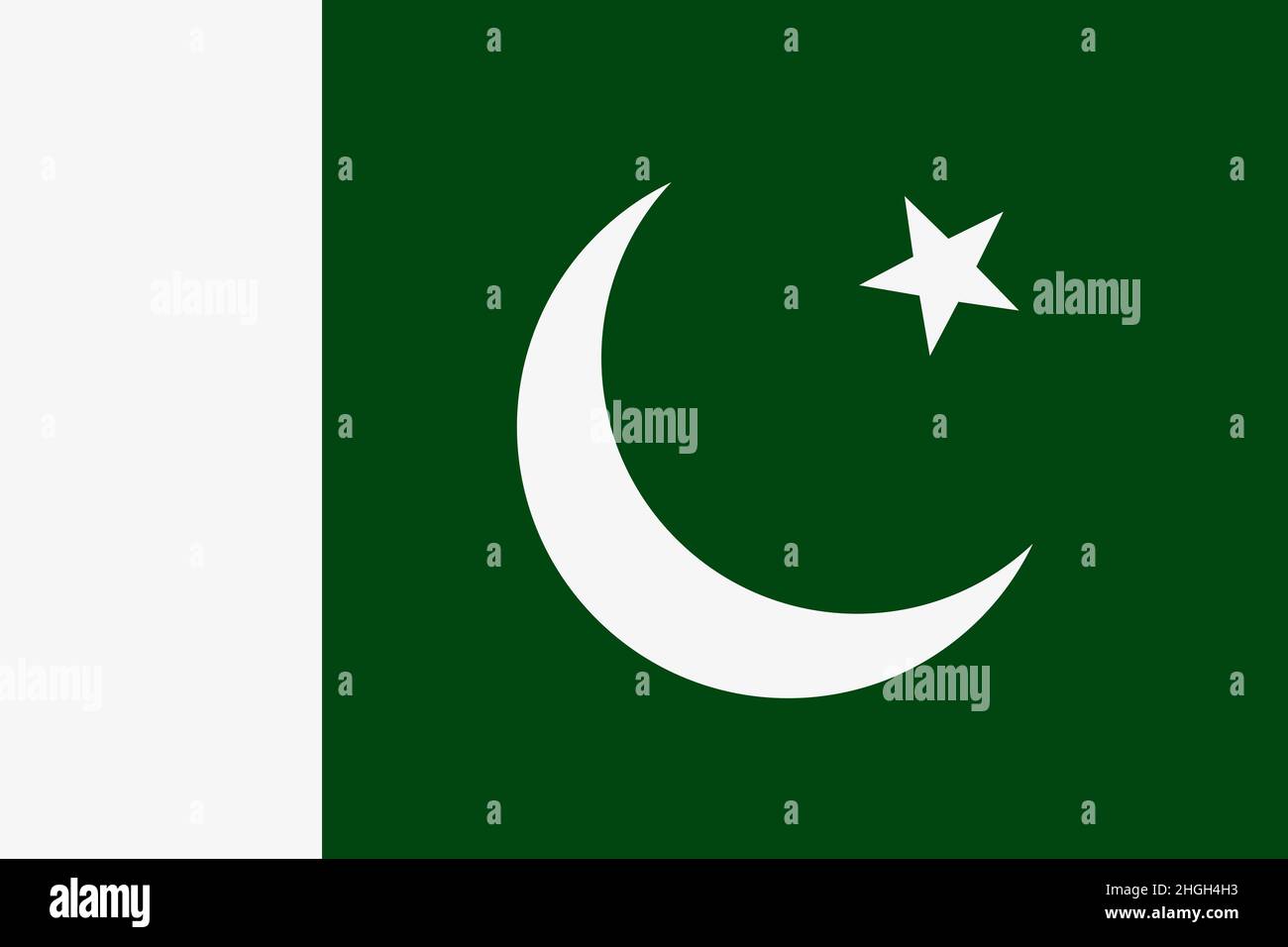 Pakistani flag vector icon. The flag of Pakistan Stock Vector