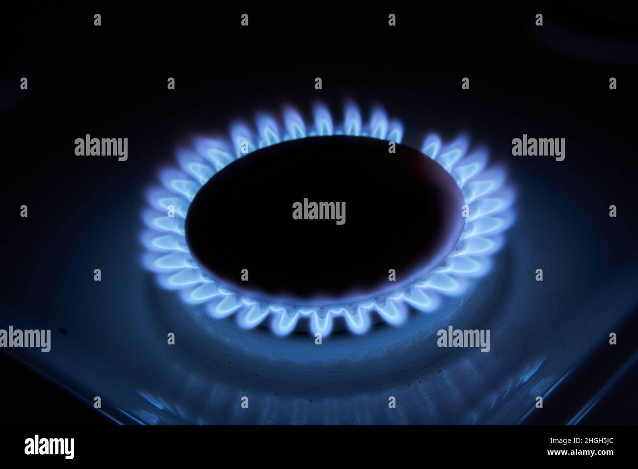Natural gas stove burning with blue flame Stock Photo Alamy