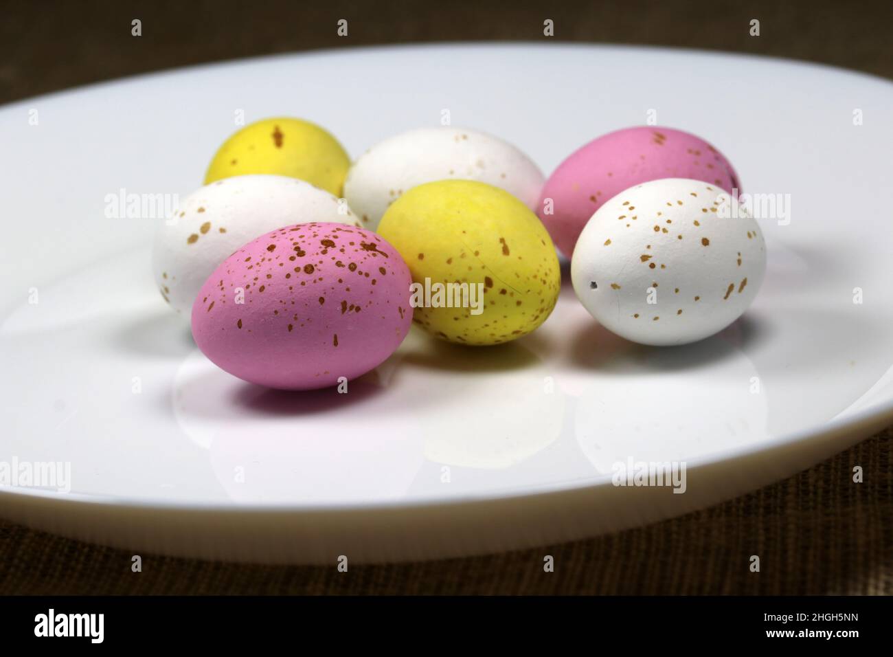 Multicolored Easter eggs on the white plate. Stock Photo