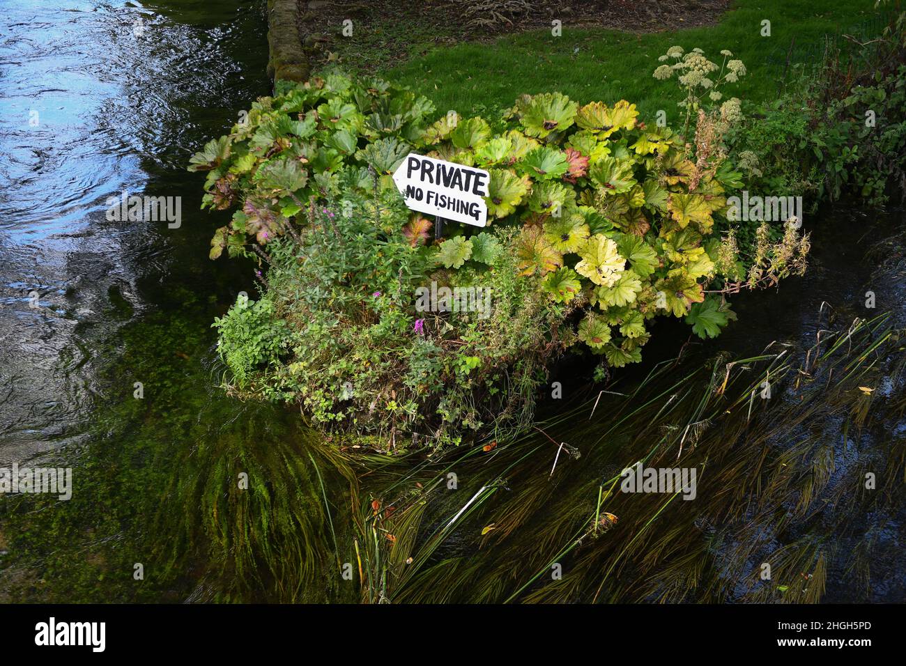 A private garden river bank opposite a public bridge with no fishing sign on the river Test running through the market town of Romsey. Stock Photo
