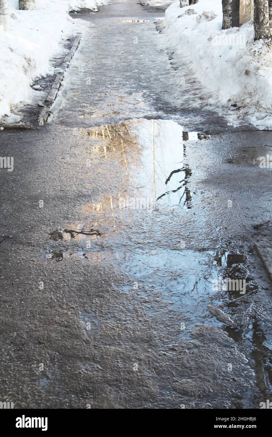Early spring puddle of melted snow on asphalt, reflection of trees in the water. Stock photo with empty space fot text and design. Stock Photo