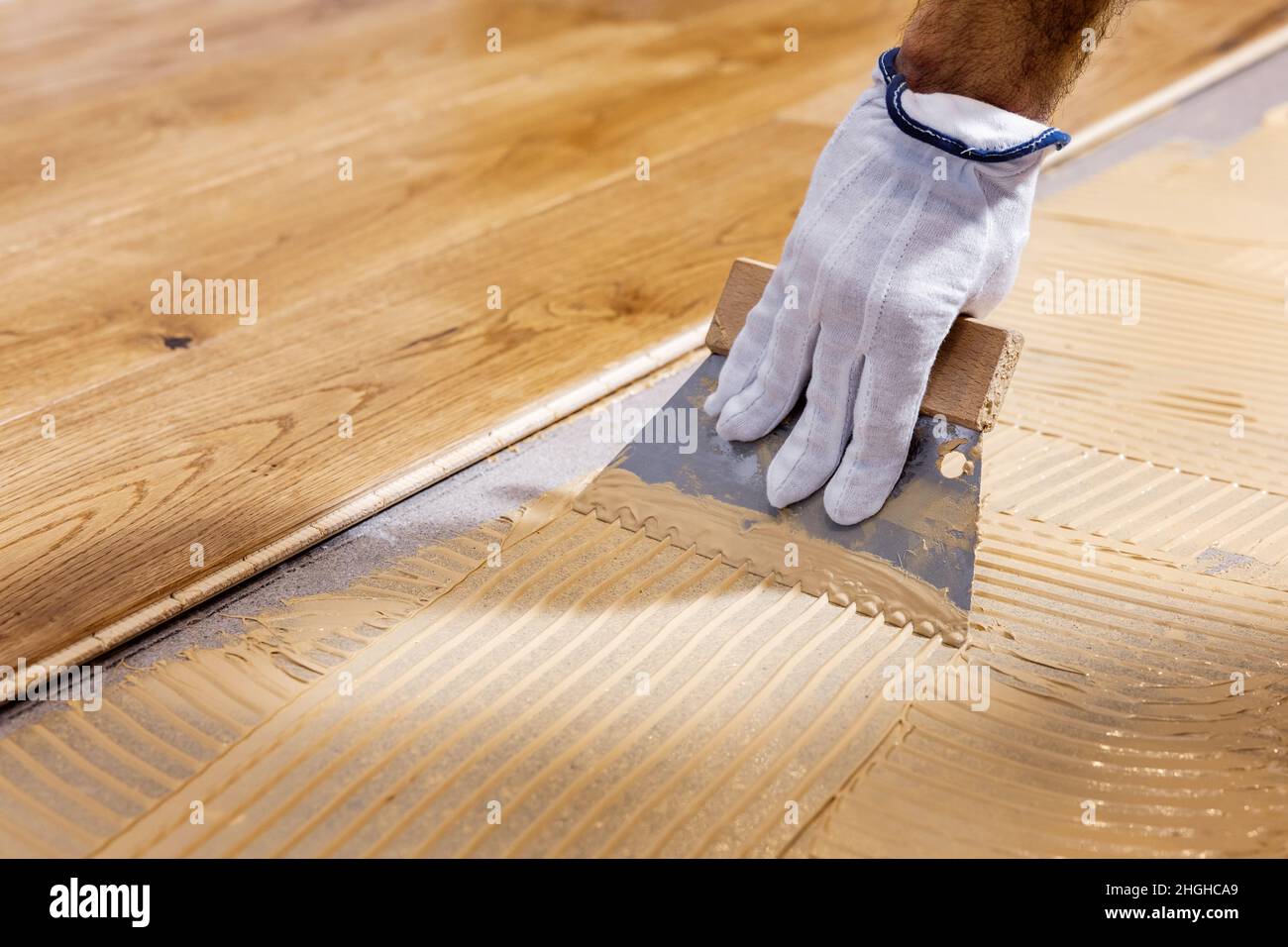 worker apply adhesive for 3 layer parquet flooring Stock Photo