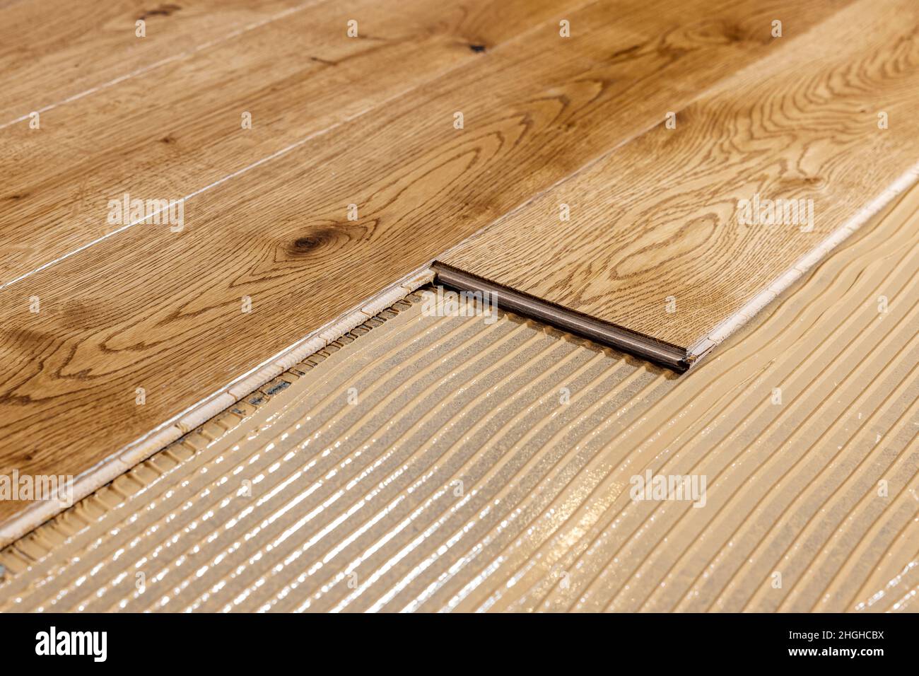 parquet floor installation. wooden planks on flooring glue Stock Photo