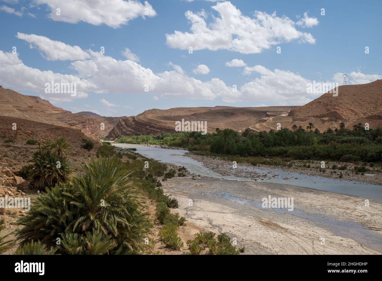 The Draa river valley in Morocco with palm tress and water. Stock Photo