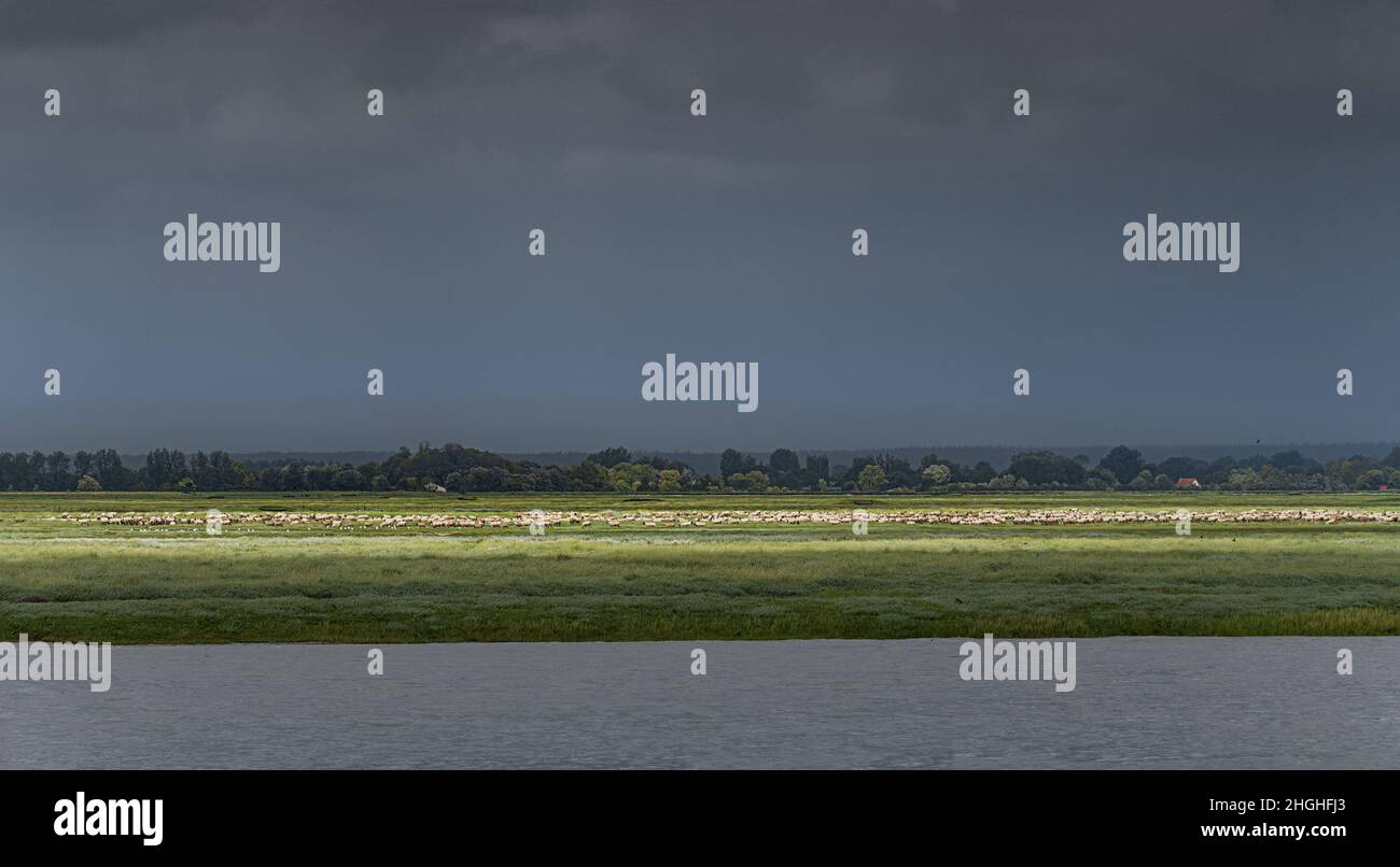 Saint Valery sur Somme, baie de Somme, chenal et reflets dans l'eau, Stock Photo