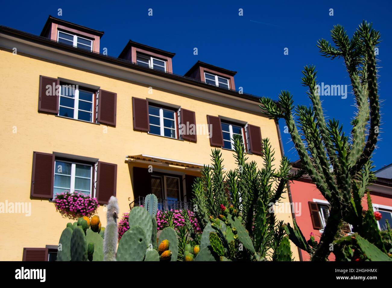 Classic colorful Austrian residential houses in Lienz with cacti in the foreground Stock Photo