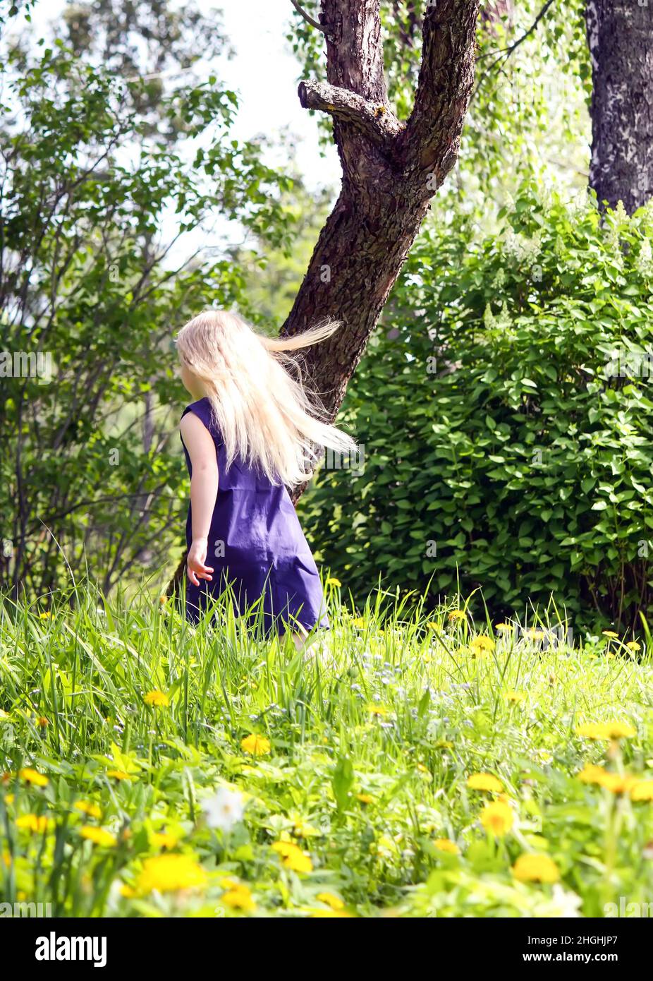 Cute little blonde girl on the meadow in summer park Stock Photo - Alamy