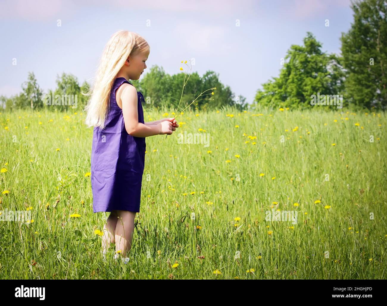 Cute little blonde girl on the meadow in summer park Stock Photo - Alamy