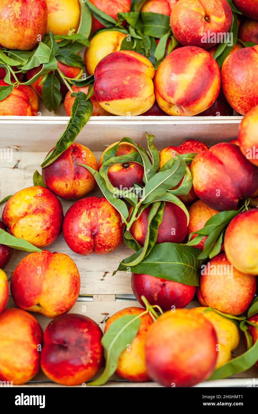 Group nectarine in crate hi-res stock photography and images - Alamy