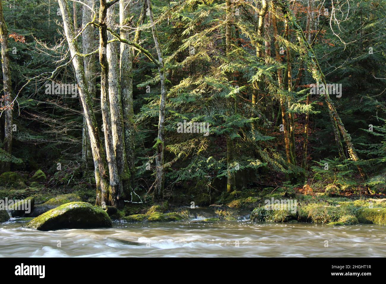 The bank across the river. Stock Photo