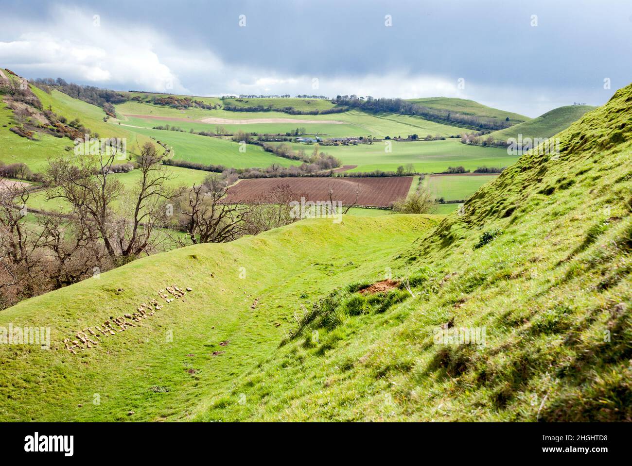 UK, England, Somerset, South Cadbury. Cadbury Castle hill fort with 'Arthur was 'ere' written in arranged local stones. Referencing King Arthur. Stock Photo