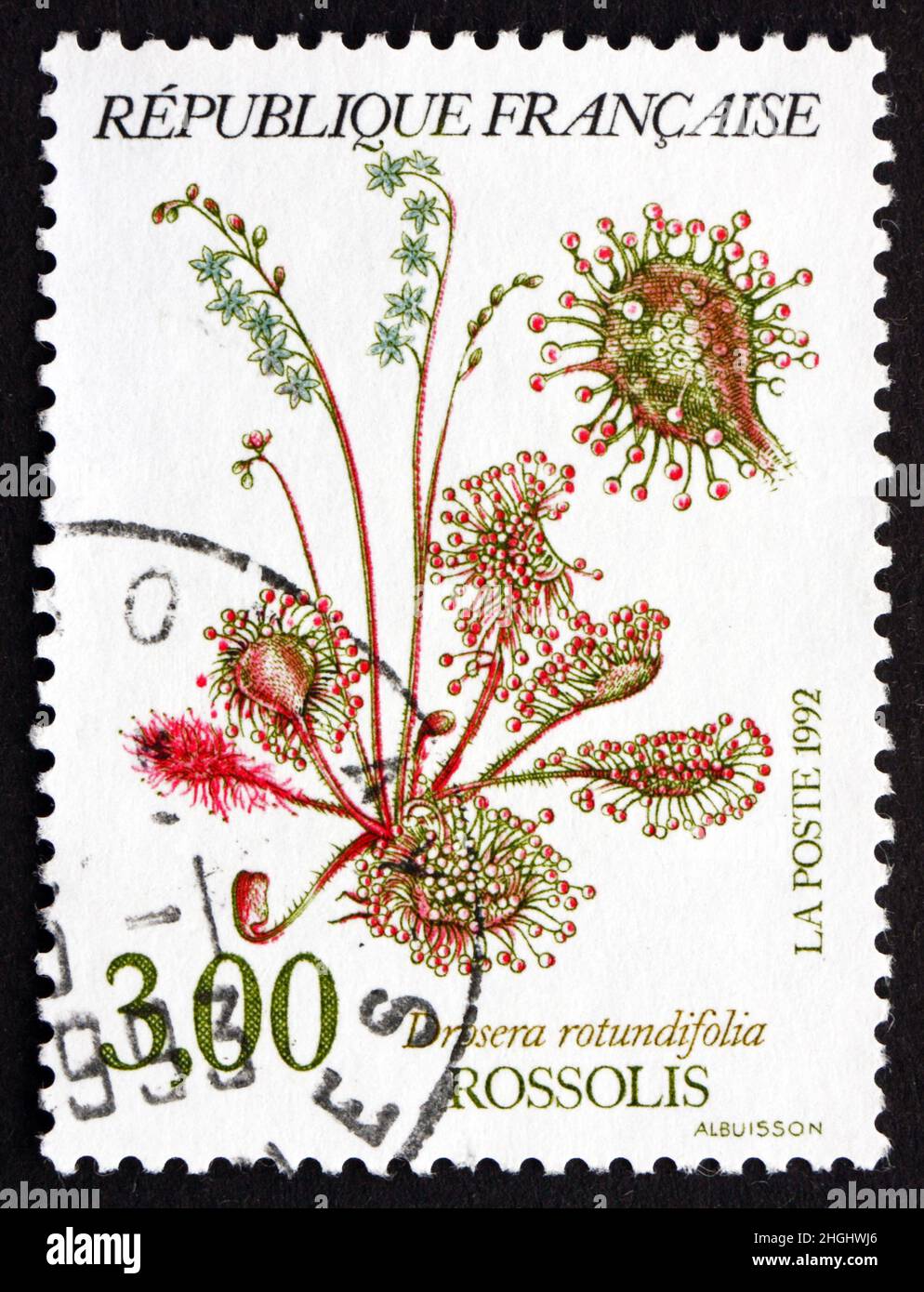 FRANCE - CIRCA 1992: a stamp printed in the France shows Common Sundew, Drosera Rotundifolia, Carnivorous Plant, circa 1992 Stock Photo