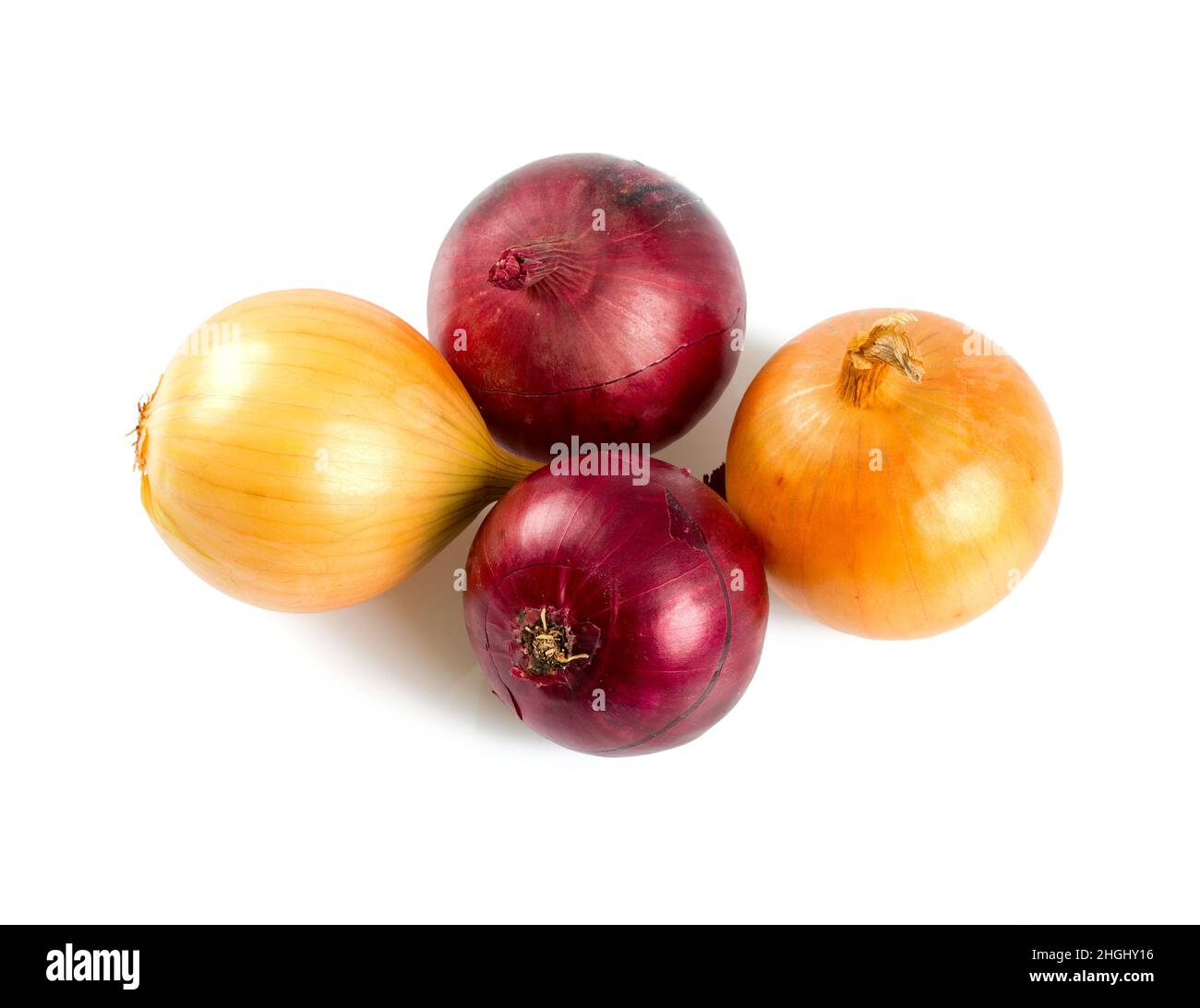 red and yellow onion isolated on white Stock Photo - Alamy