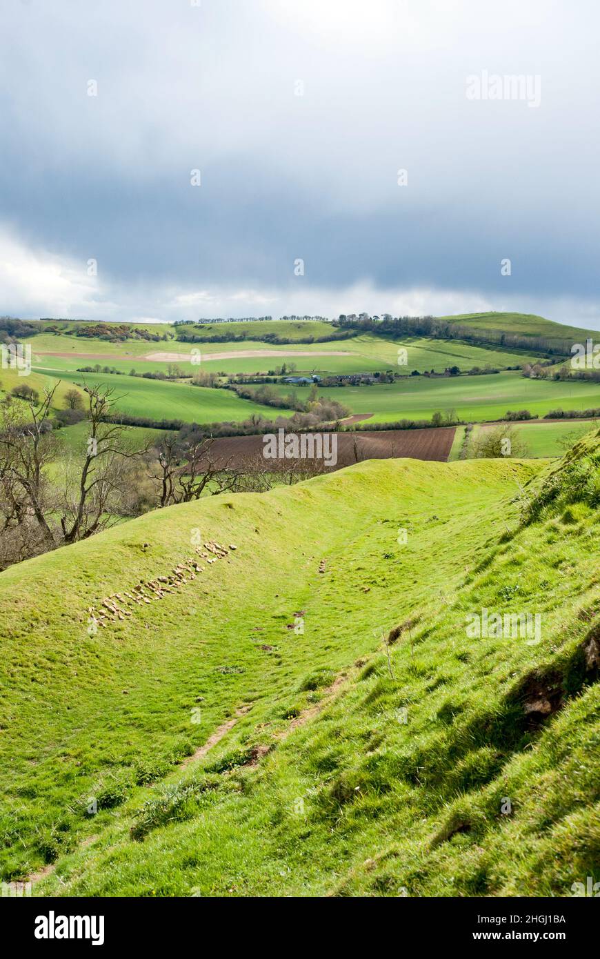 UK, England, Somerset, South Cadbury. Cadbury Castle hill fort with 'Arthur was 'ere' written in arranged local stones. Referencing King Arthur. Stock Photo