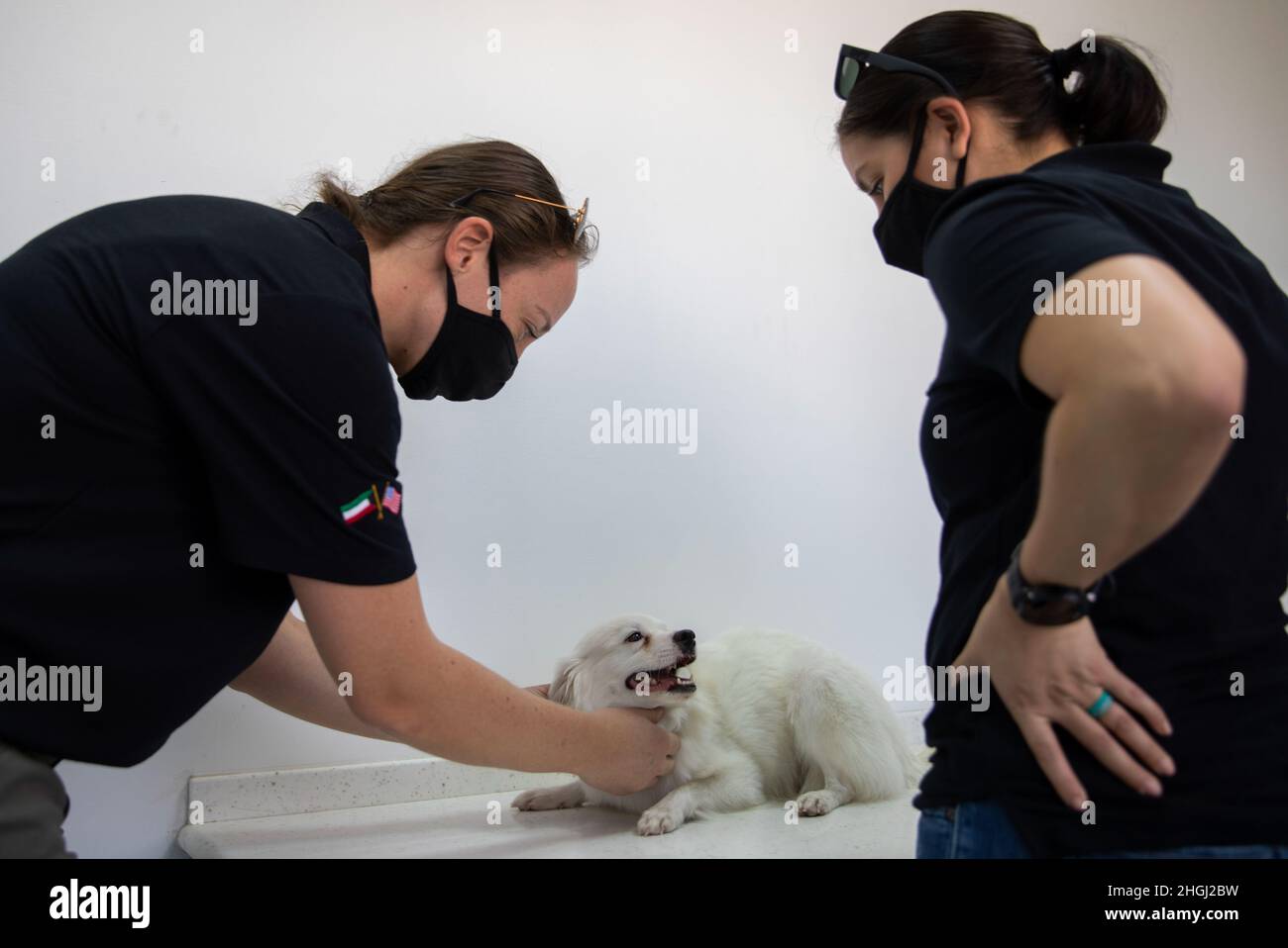 Sarah fisher hires stock photography and images Alamy