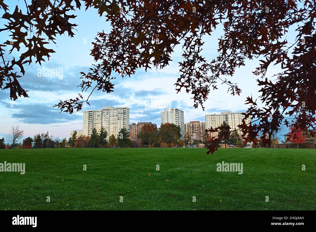 Lifestyle - Apartment Living with a view of a public park Stock Photo ... - Luxury Apartment With Park Surroundings View