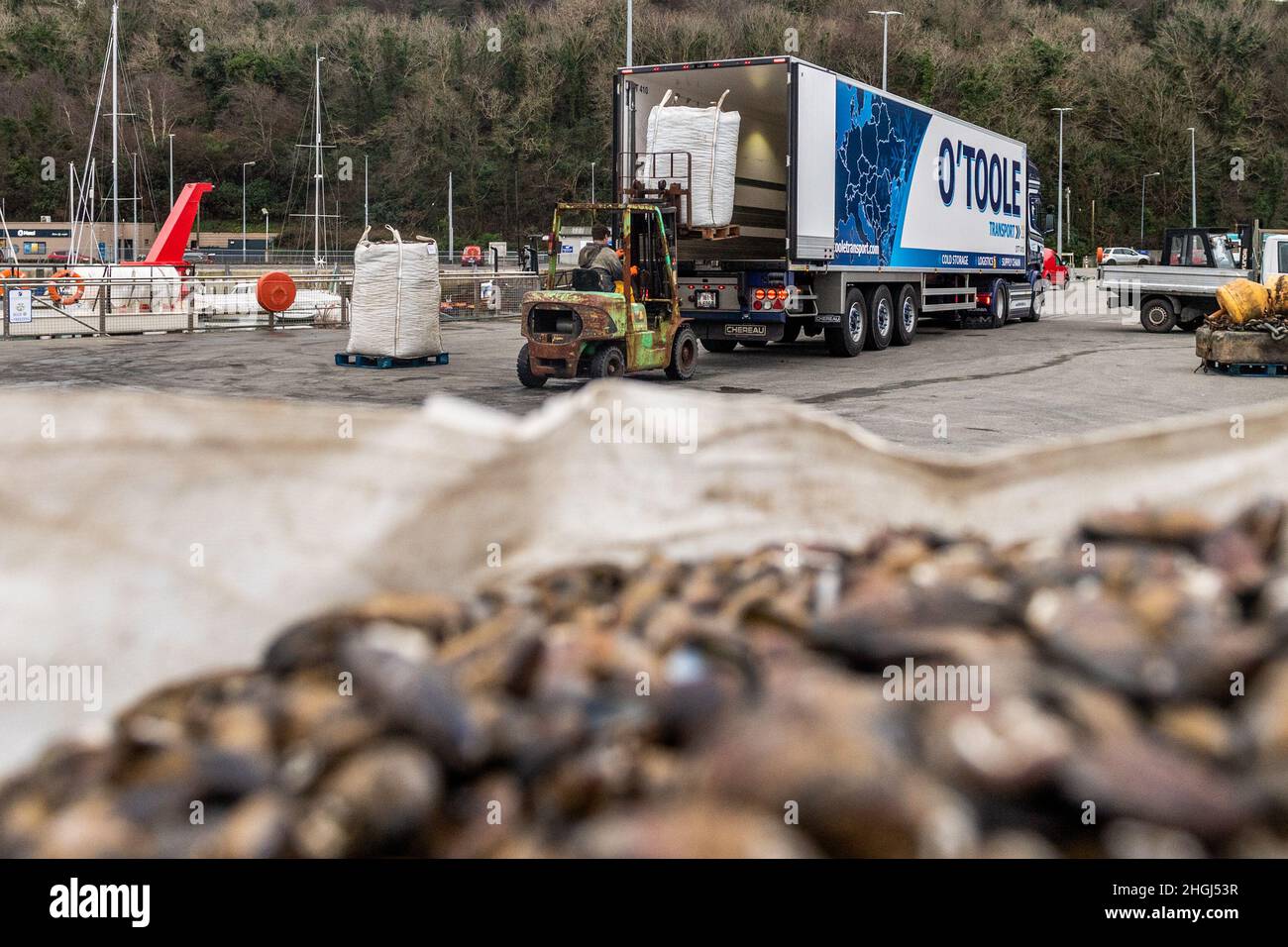 Bantry, West Cork, Ireland. 21st Jan, 2022. On a cold and overcast day