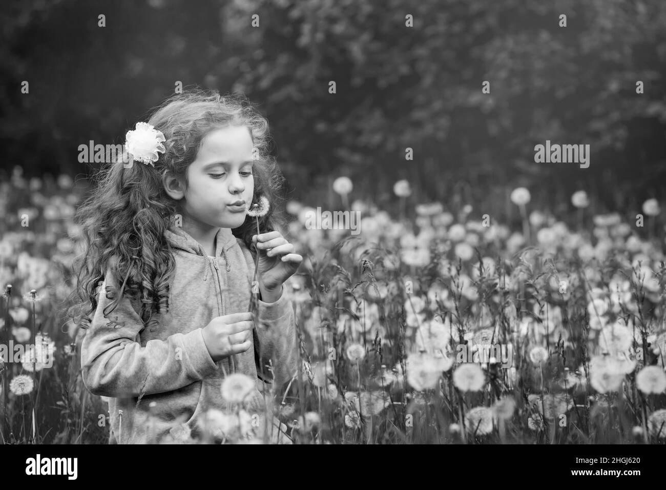 Black-white portrait, little girl blows a dandelion Stock Photo - Alamy