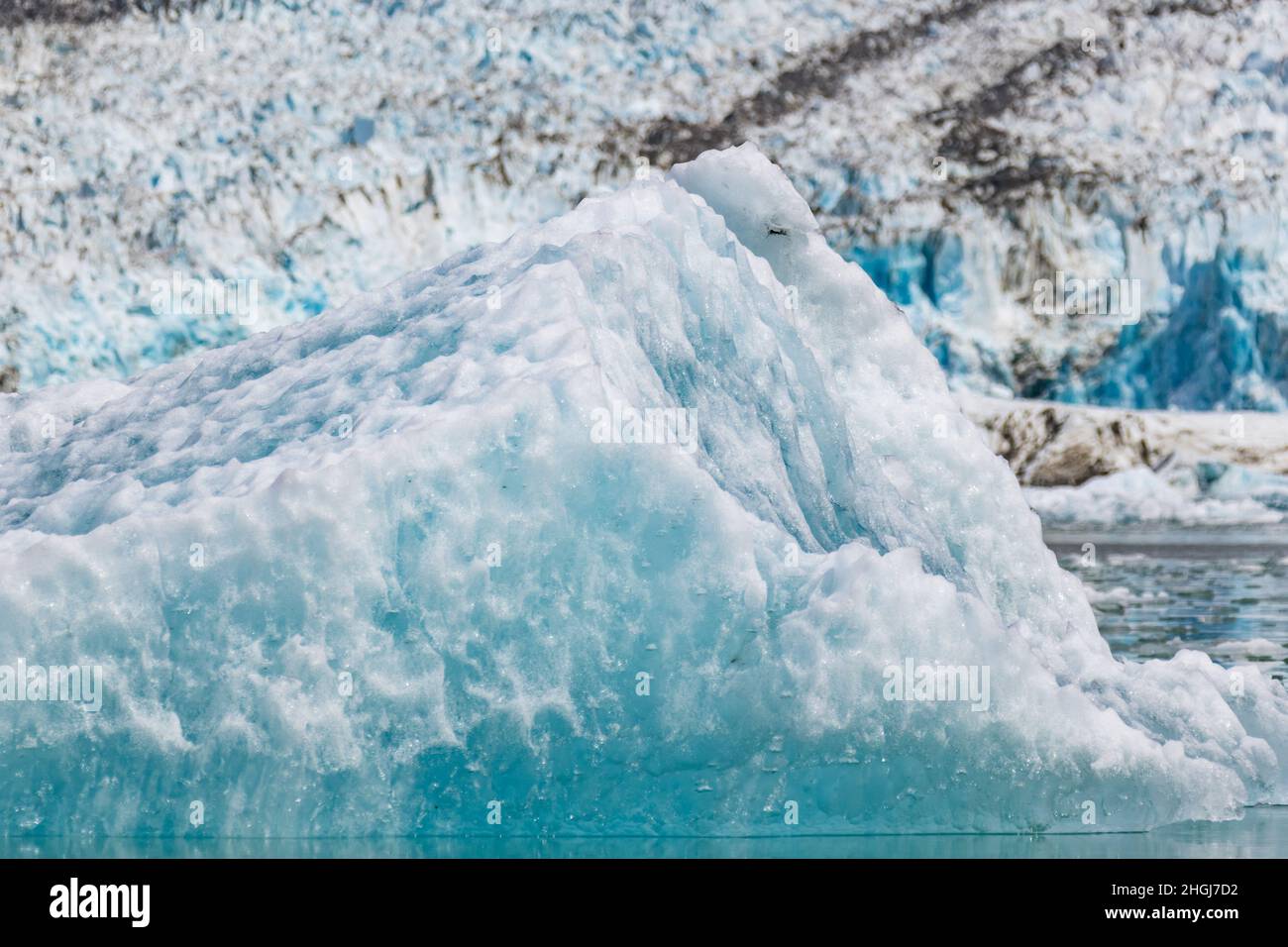 Floating icebergs, bergy bits and ice flows are seen in front of Dawes Glacier in Tracy Arm Wilderness, Alaska Stock Photo