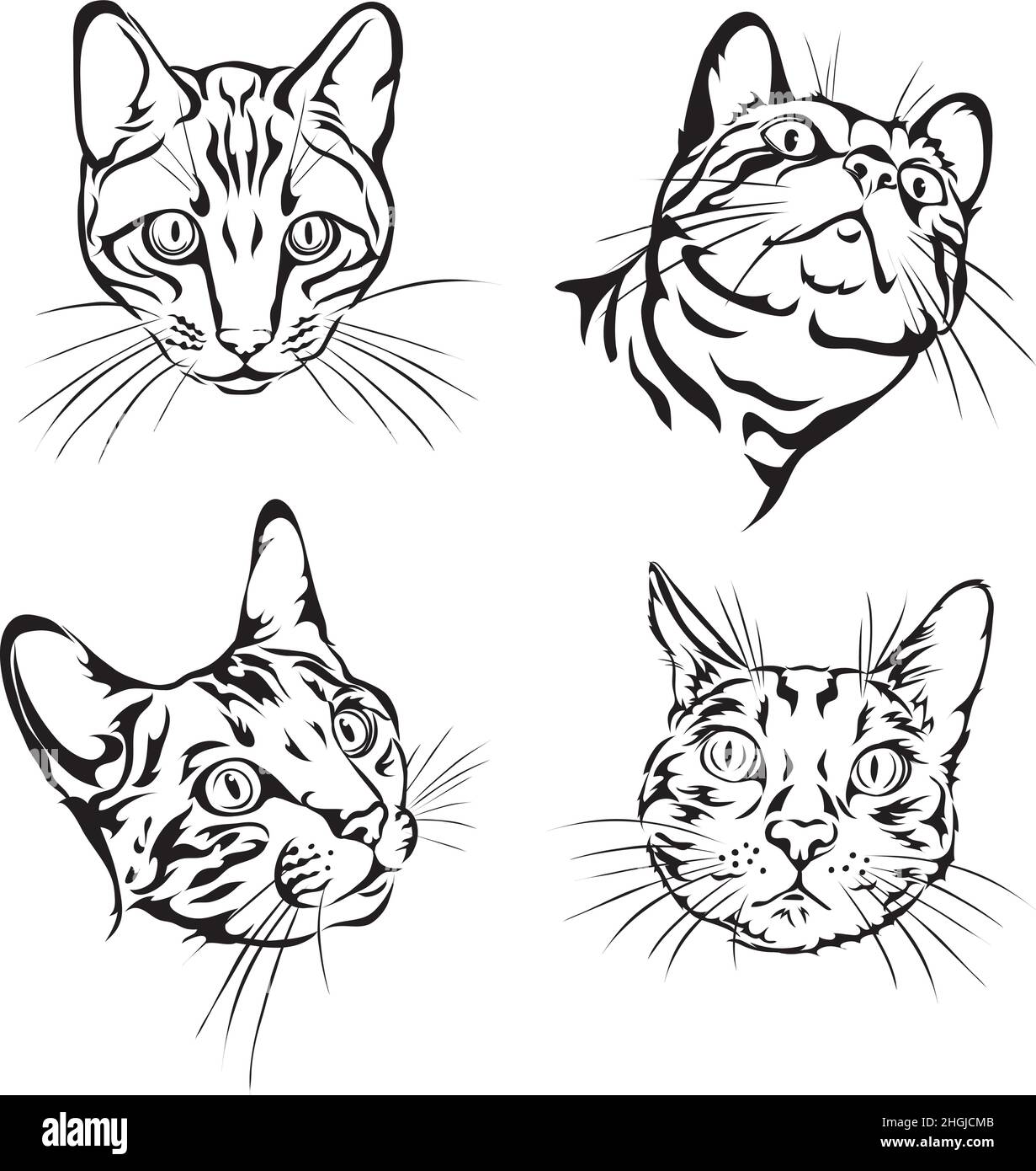 Bengal cat, our portraits of Bengal cats in black and white for logo, trademark, print and tattoo Stock Vector