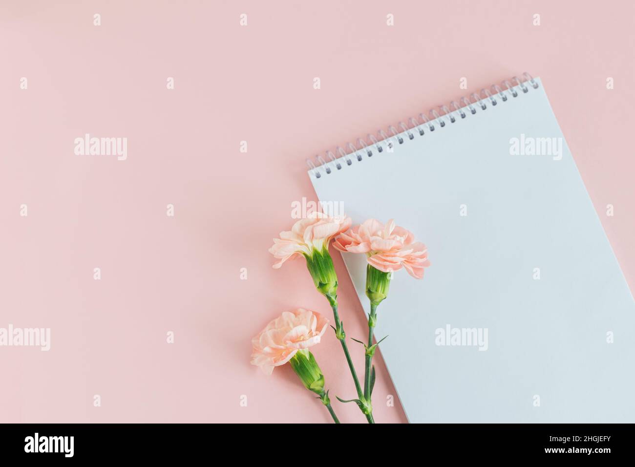 Notebook with blank page and pencil on a pink pastel background. Flat ...
