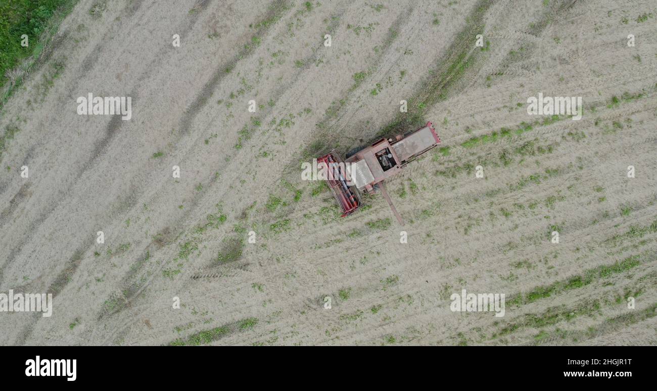 Agriculture Harvester Harvesting Field Aerial View Stock Photo - Alamy