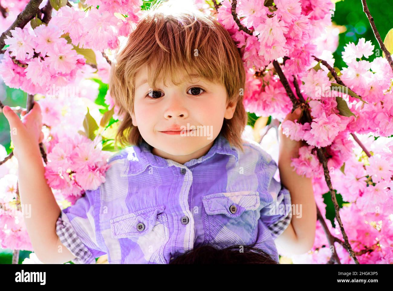 Happy child in sakura park. Little kid smiling among blooming cherry tree with pink flowers. Spring. Stock Photo