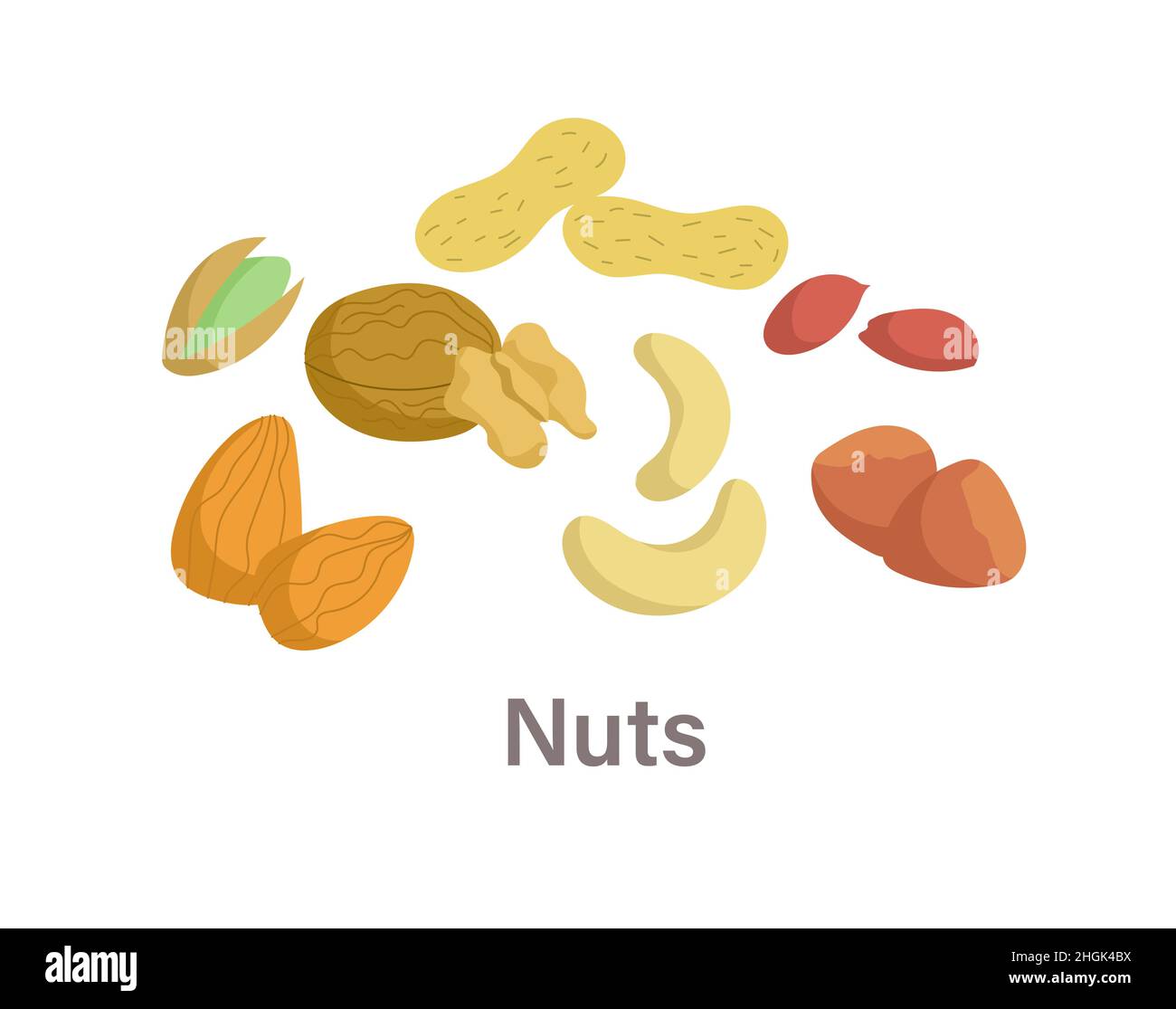 Thyroid nutrition infographic element Stock Vector