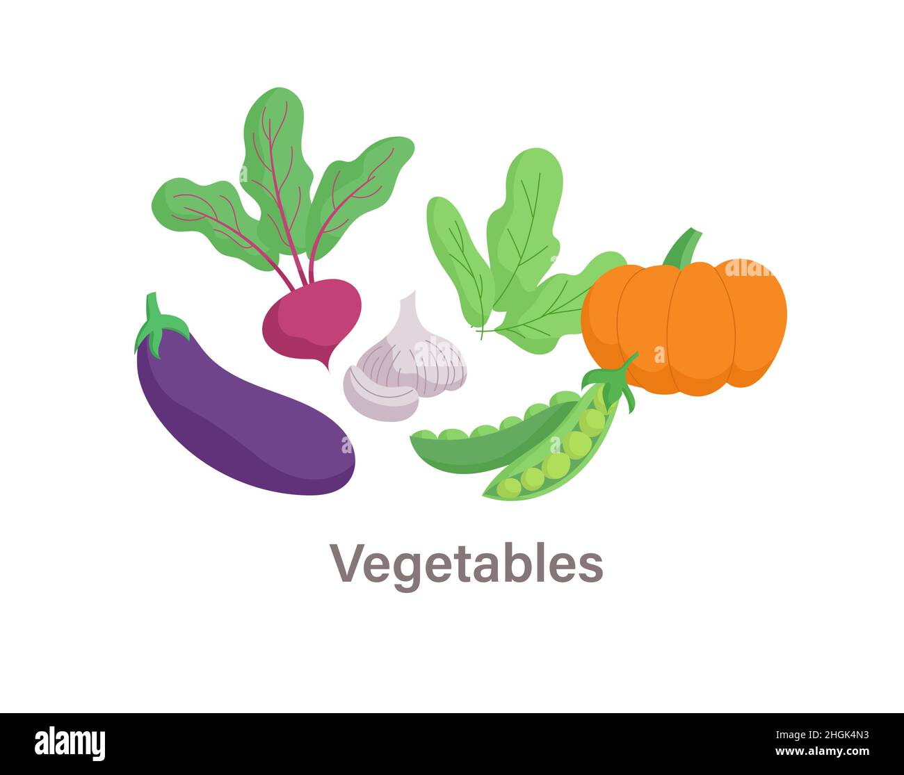 Thyroid nutrition infographic element Stock Vector