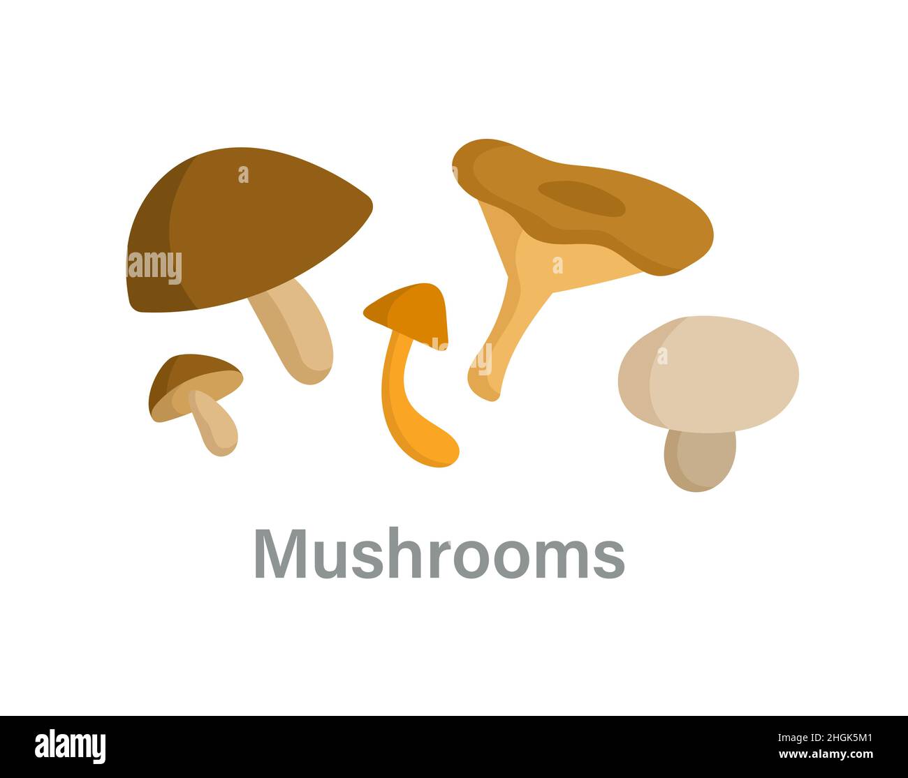 Thyroid nutrition infographic element Stock Vector