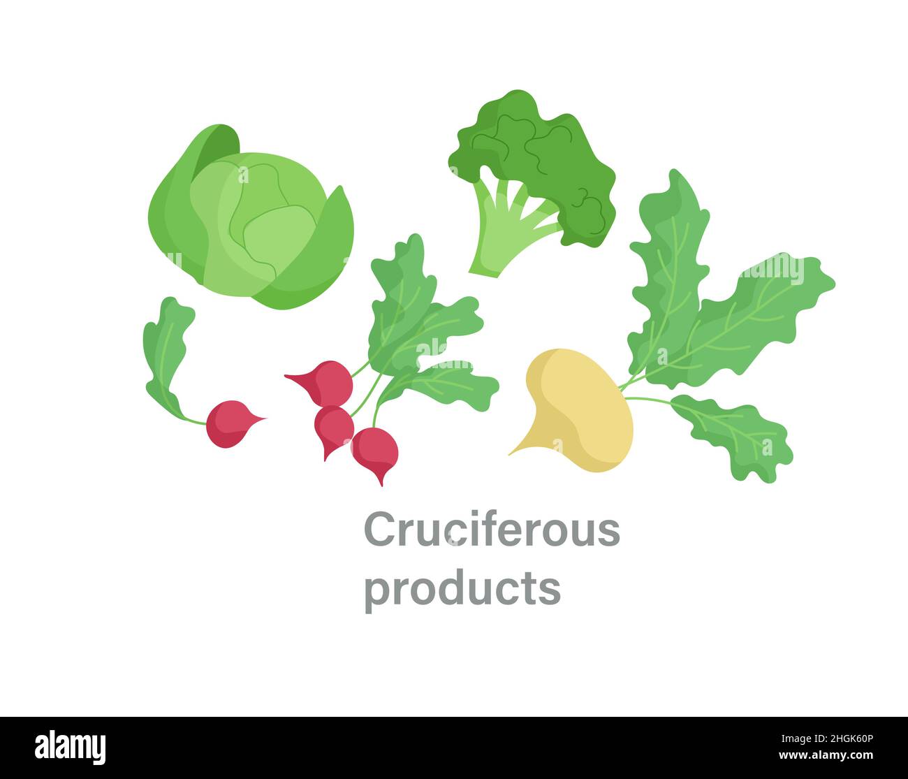 Thyroid nutrition infographic element Stock Vector