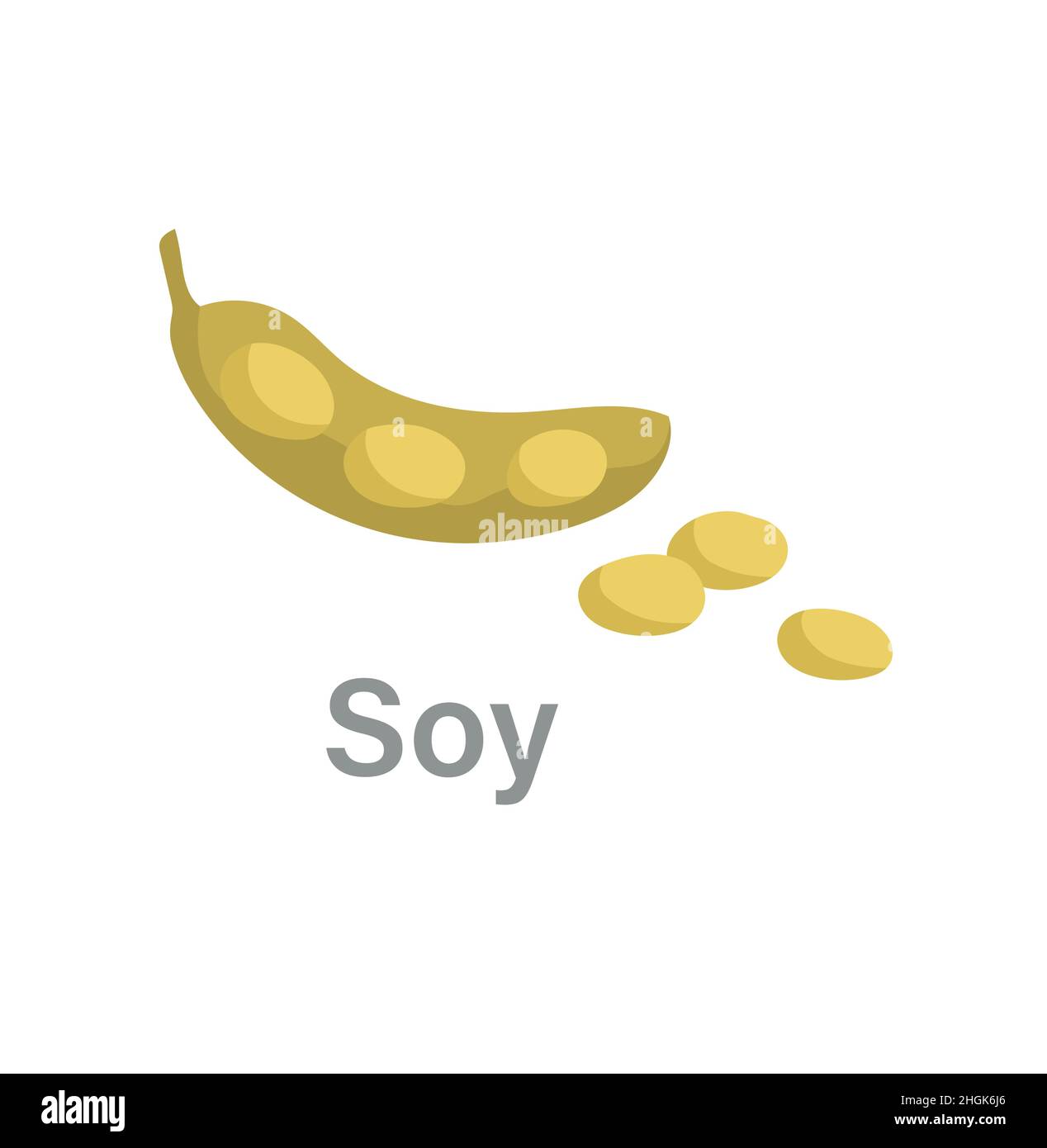 Thyroid nutrition infographic element Stock Vector