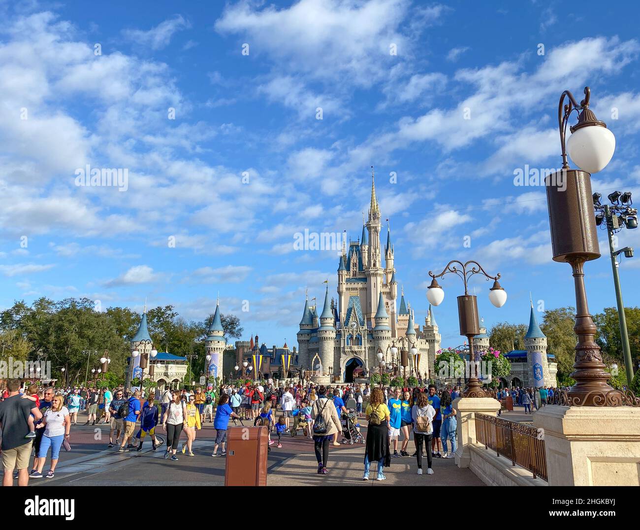 Fake Florida Id For Disney