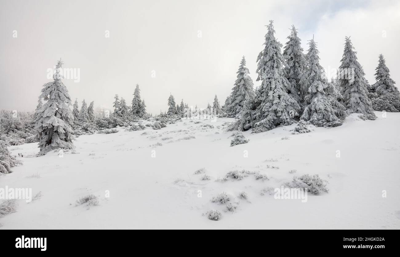 Beautiful winter mountain landscape, Karkonosze National Park, Poland. Stock Photo