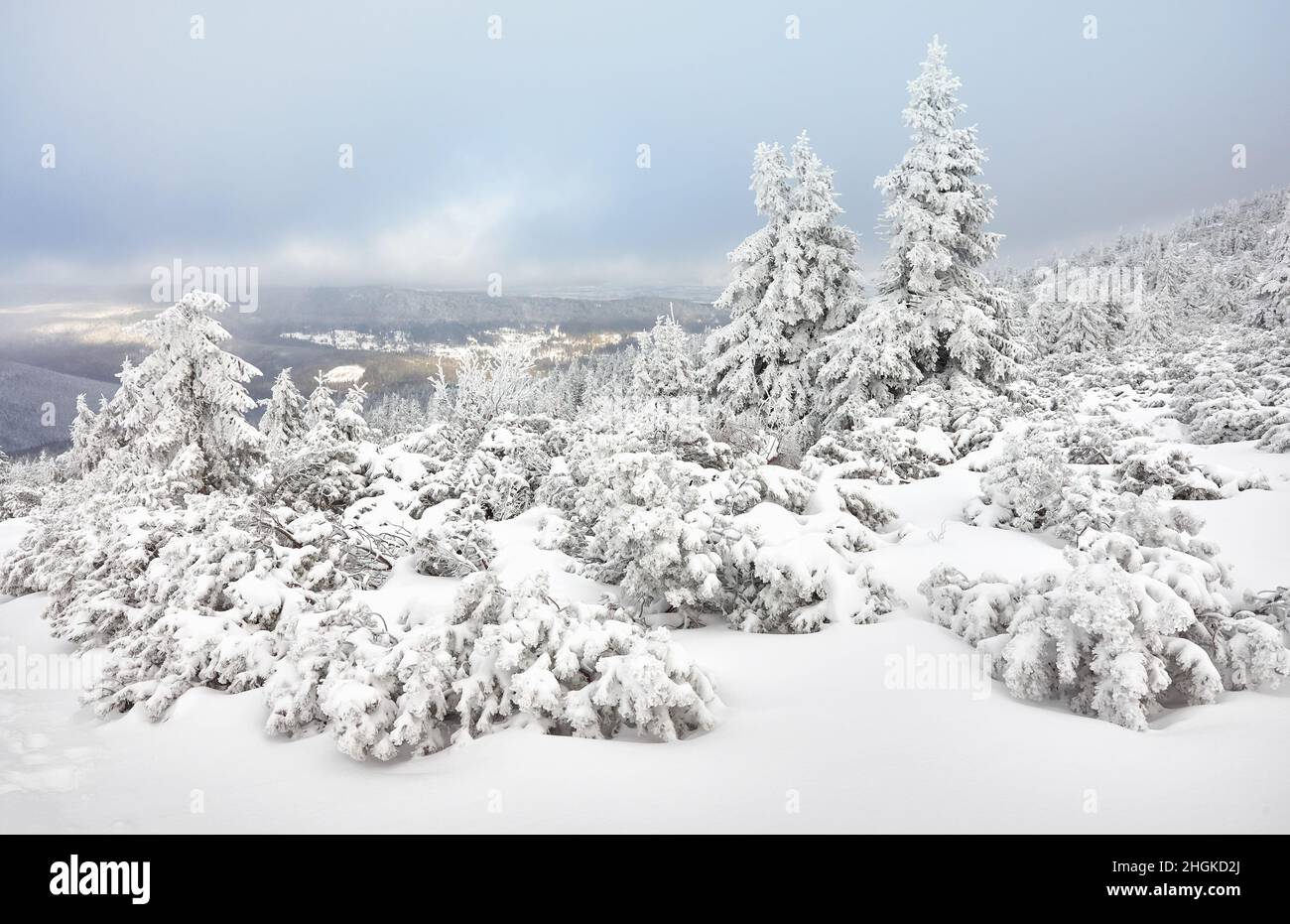 Beautiful winter mountain landscape, Karkonosze National Park, Poland. Stock Photo