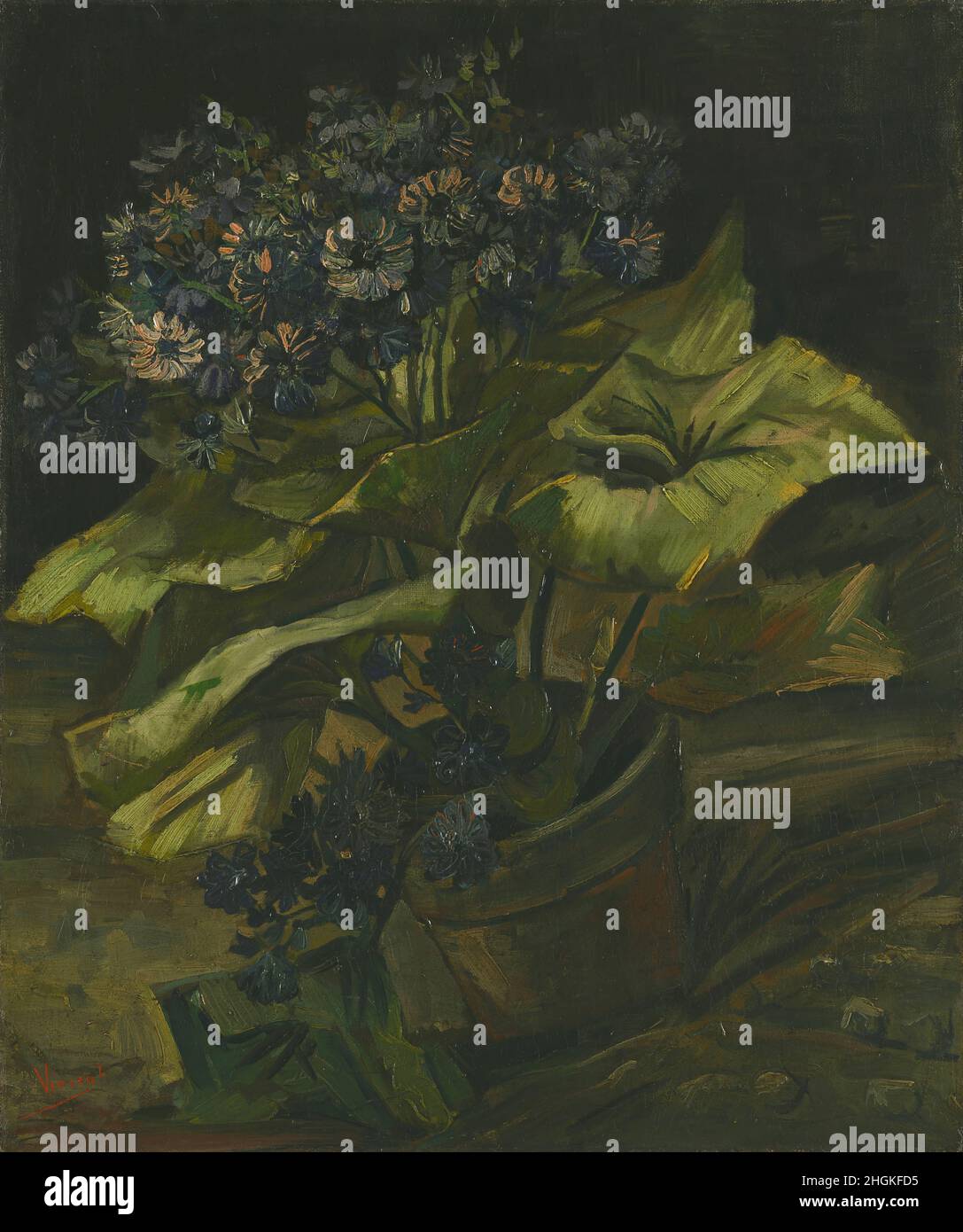 Cineraria's - 1885 - Oil on canvas 54,5 x 45,5 cm - vg09Van Gogh Vincent Stock Photo