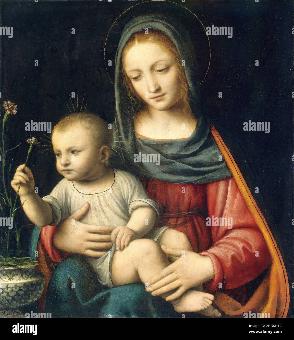 The Madonna of the Carnation - 1515c. - oil on wood 43,8 x 40,3 cm - Luini Bernardino Stock Photo