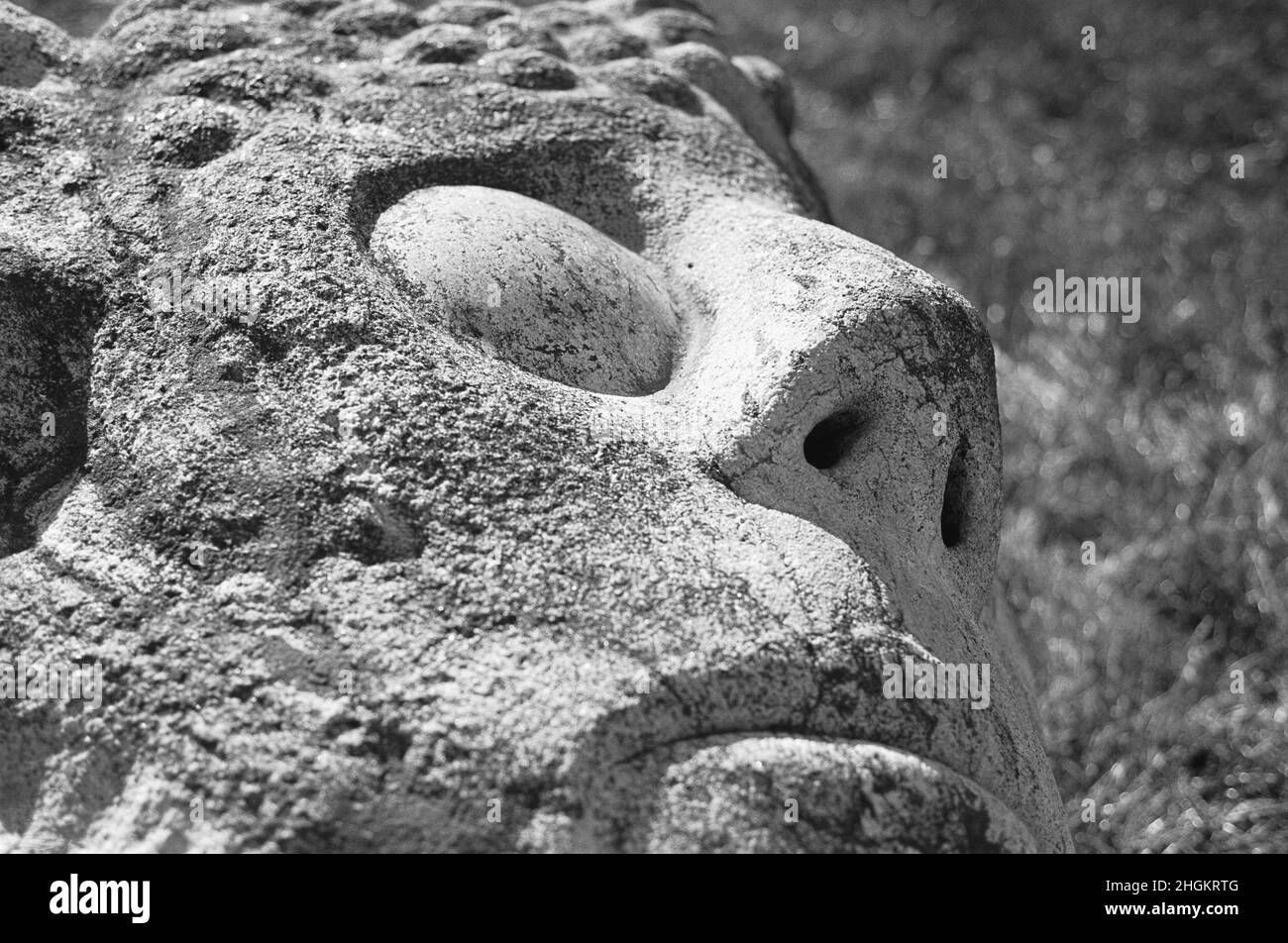 Large outdoor sculpture of mans face. One of several items on exhibit