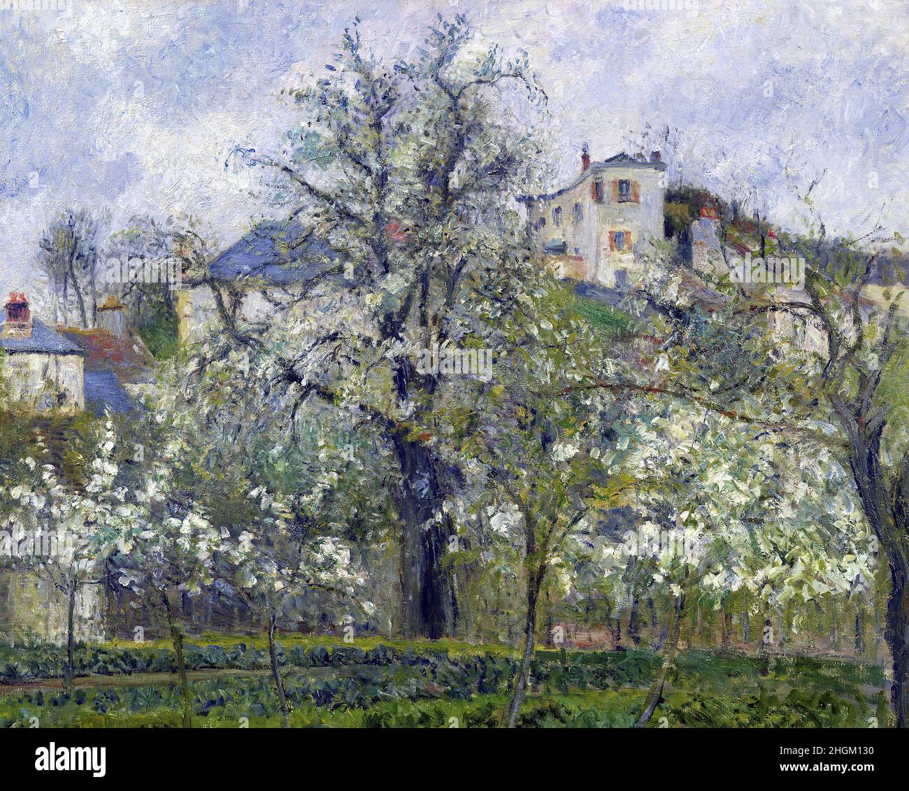 絵画 Camille Pissarro Printemps, Pruniers en Camille Pissarro Printemps, Pruniers en - メルカリ