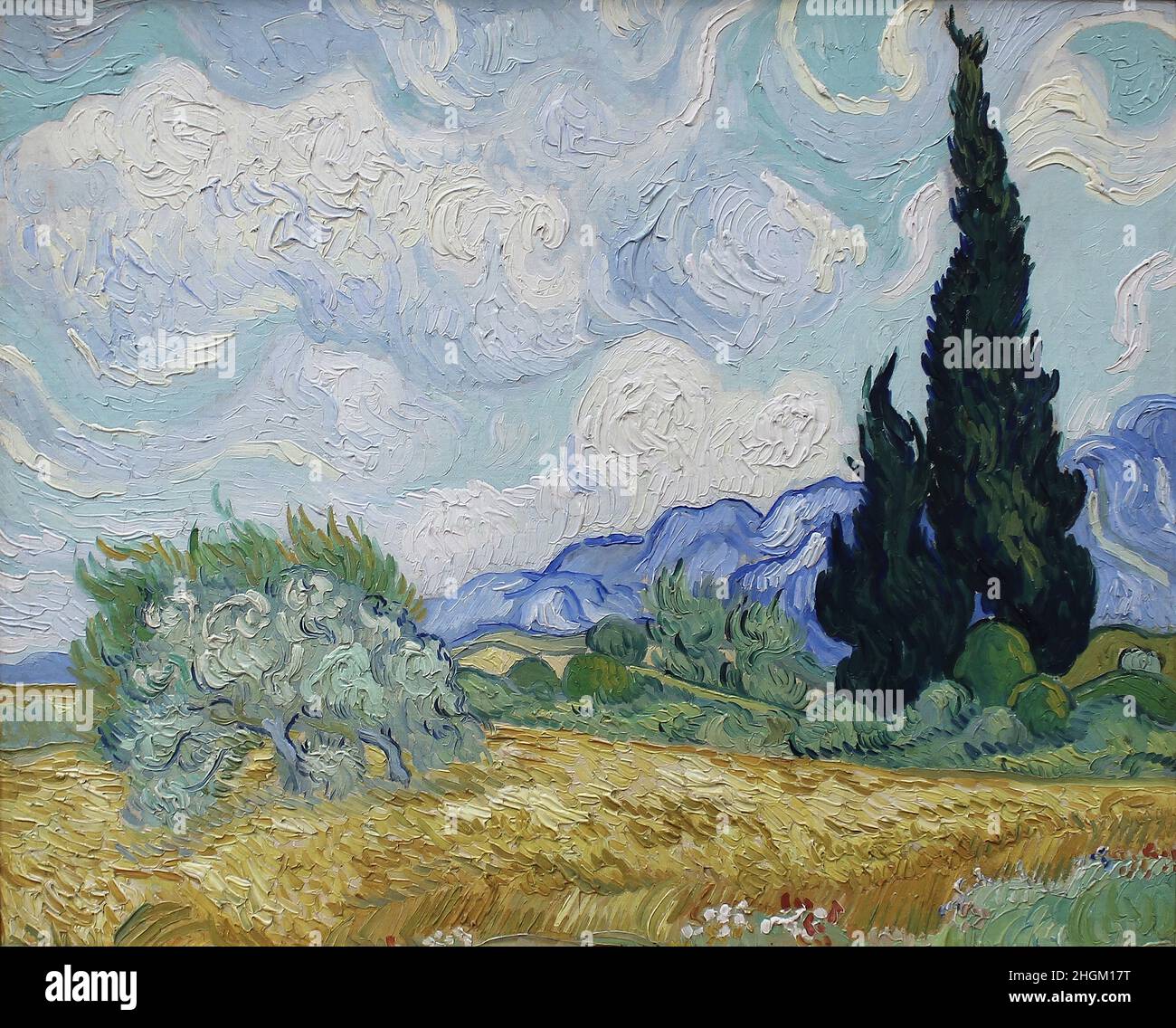 Van Gogh Vincent - Private Collection - Wheatfield with Cypresses - 1889 - Oil on canvas 51,5 x 65 cm Stock Photo