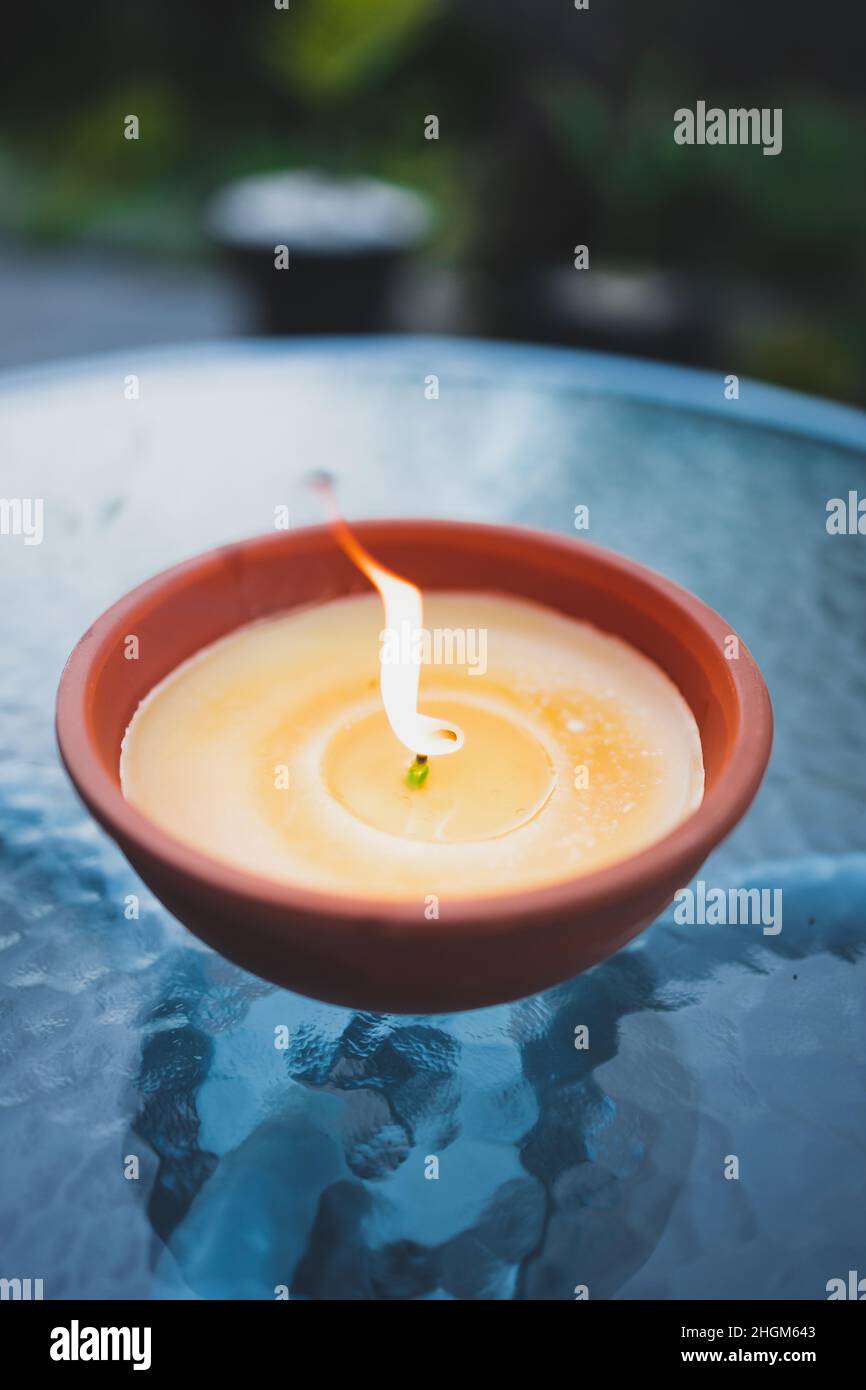 How To Use Citronella Candles To Keep Mice Away Pest