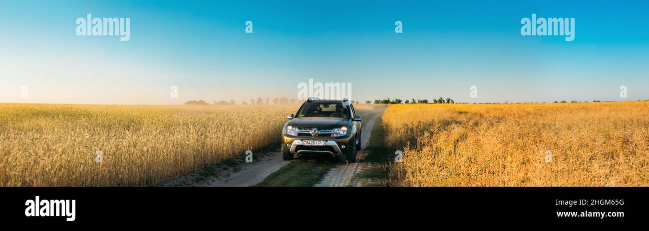 Renault Duster or Dacia Duster SUV in summer wheat field countryside landscape. Duster produced jointly by French manufacturer Renault and its Stock Photo