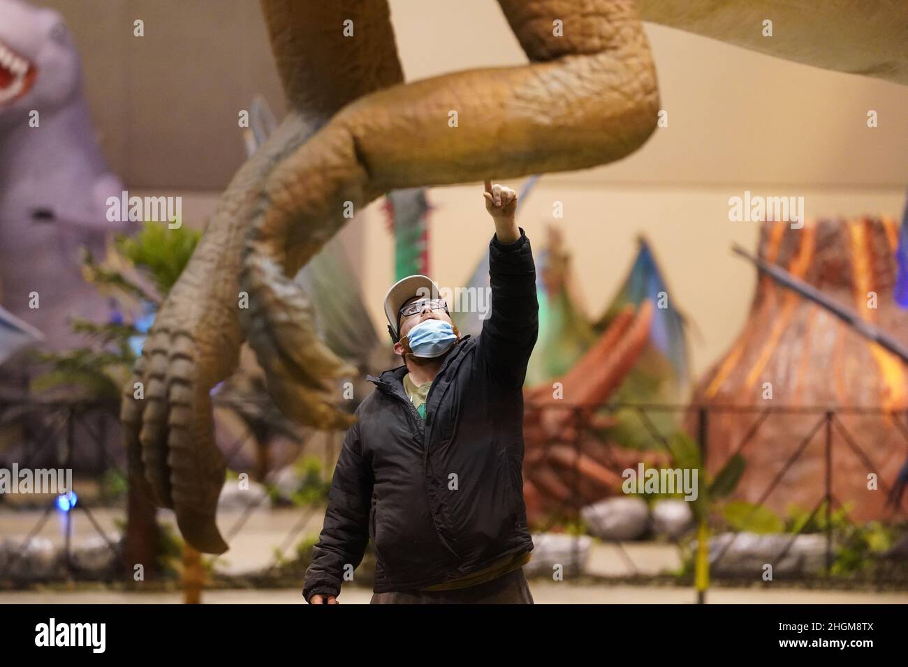 St. Louis, USA. 21st Jan, 2022. A worker directs placement of a dinosaur during setup of the Dino & Dragon Stroll at America's Center in St. Louis on Friday, January 21, 2022. Dino and Dragon Stroll allows visitors to walk-thru and get up close to life-size dinosaurs and dragons from the Mesozoic Era with prehistoric dinosaurs from the Triassic, Jurassic, and Cretaceous periods. Photo by Bill Greenblatt/UPI Credit: UPI/Alamy Live News Stock Photo