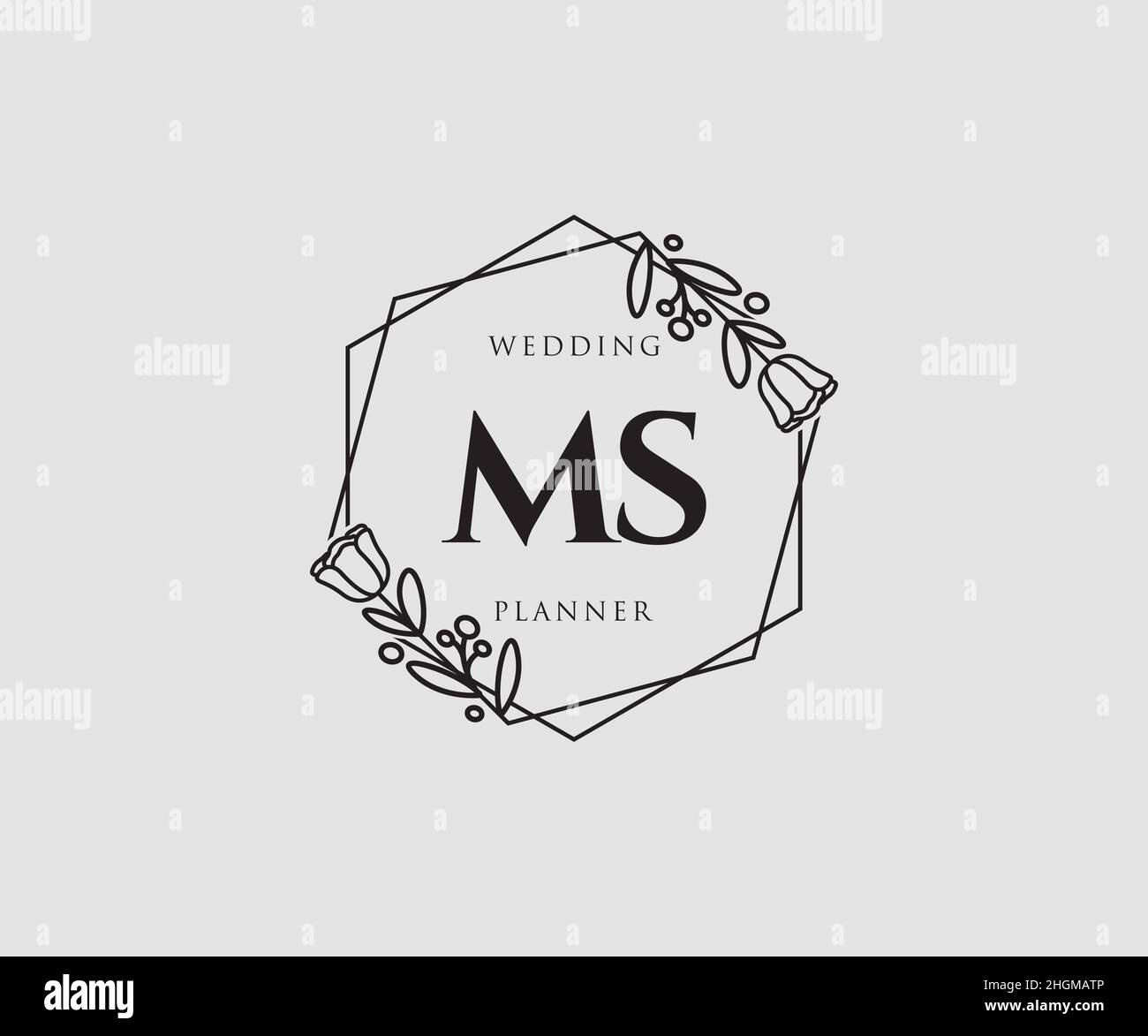 MS feminine logo. Usable for Nature, Salon, Spa, Cosmetic and Beauty Logos. Flat Vector Logo Design Template Element. Stock Vector