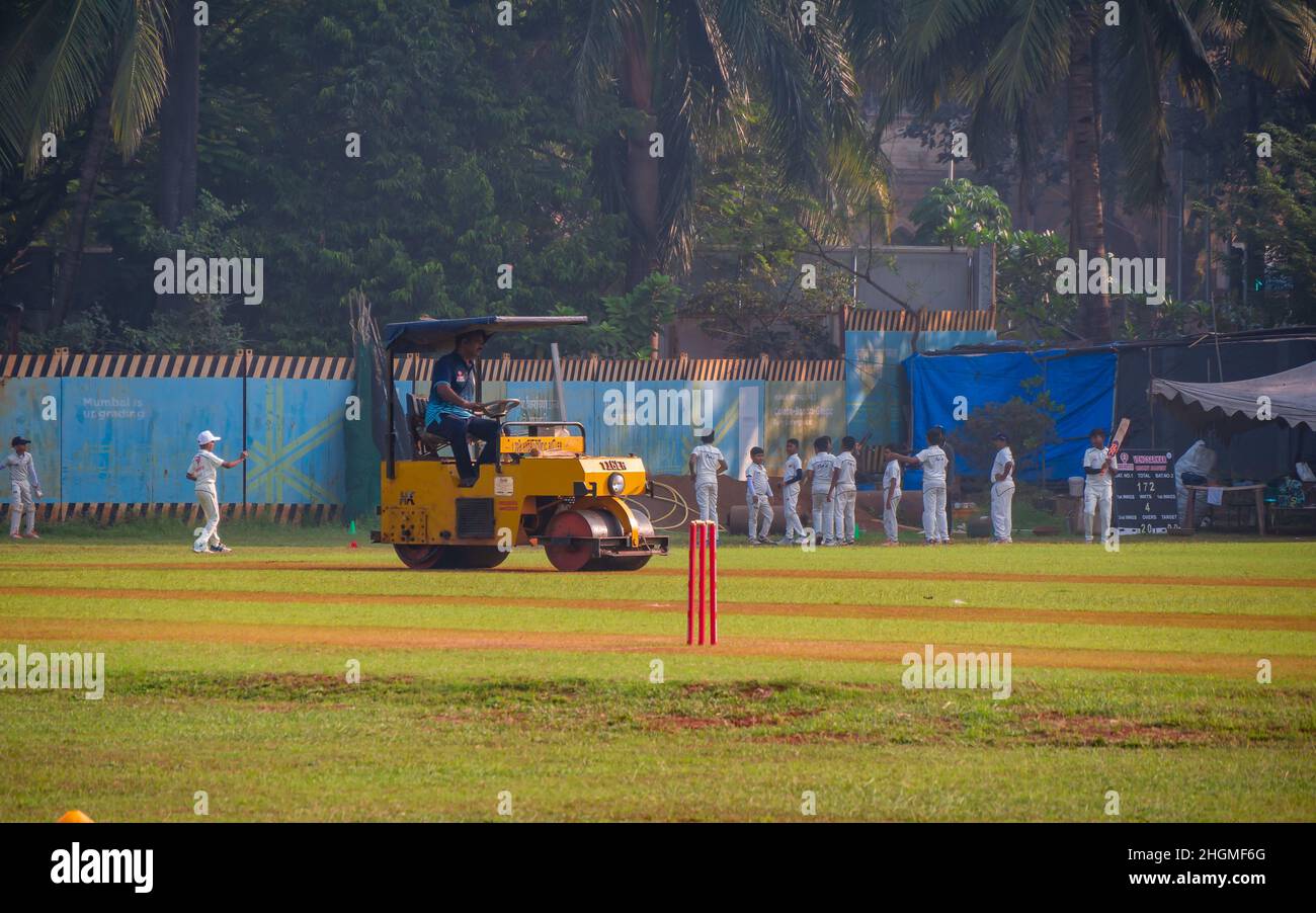 Cricket ground maintenance hires stock photography and images Alamy