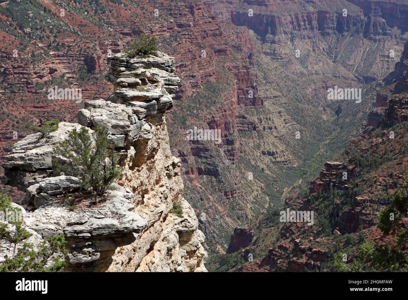 View looking down a deep side canyon eroded through red sandstone layers at an overlook point on the Widforss hiking trail, Grand Canyon North Rim Stock Photo