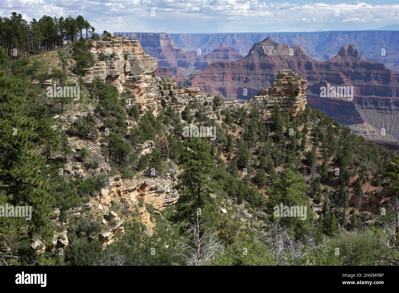 View from the North Rim of the Grand Canyon at Widforss Point. Summertime view of eroded red and white sandstone layers, ridges, mesas, and buttes car Stock Photo